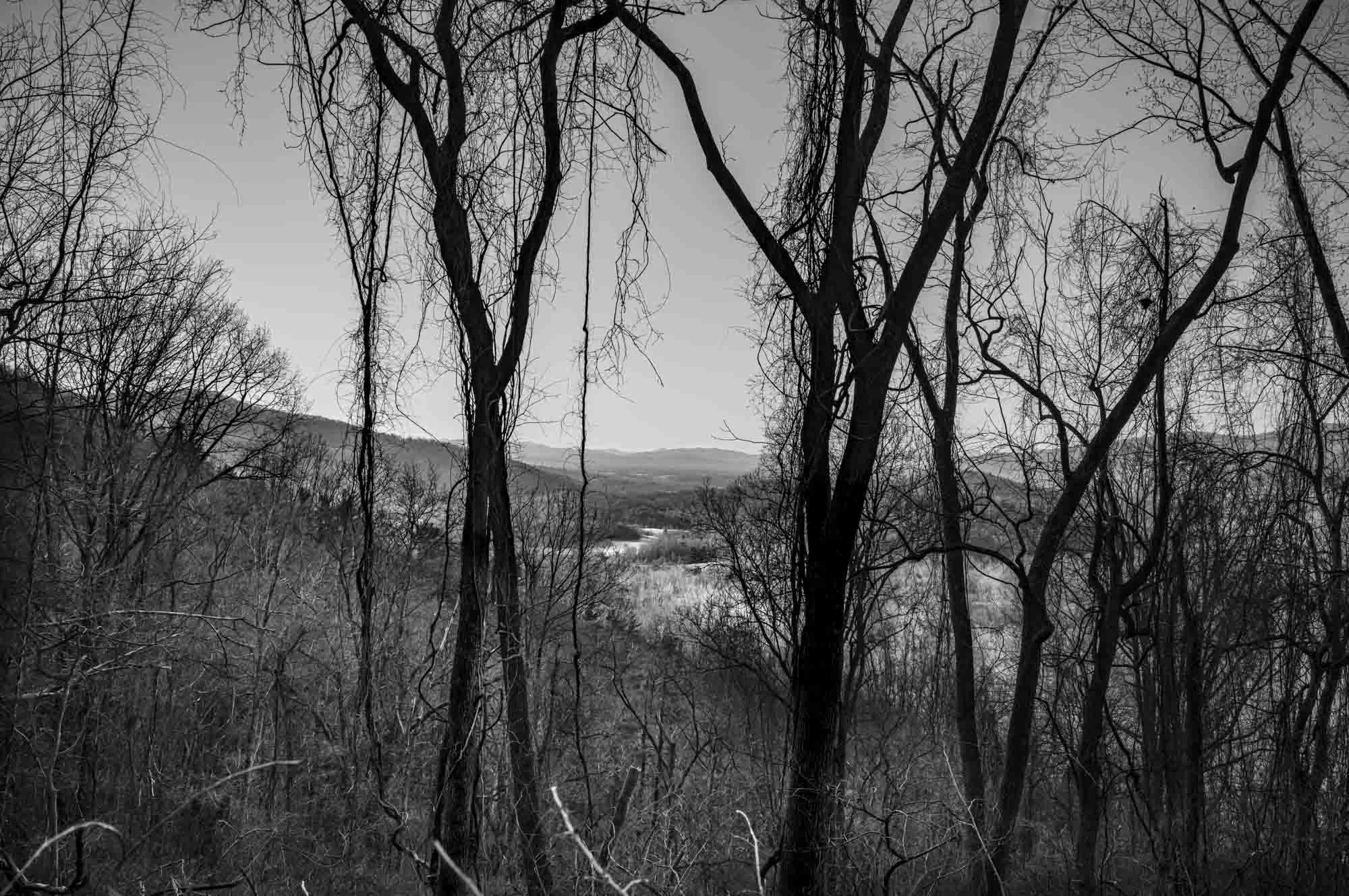 Metes and Bounds - Hero Image.jpg