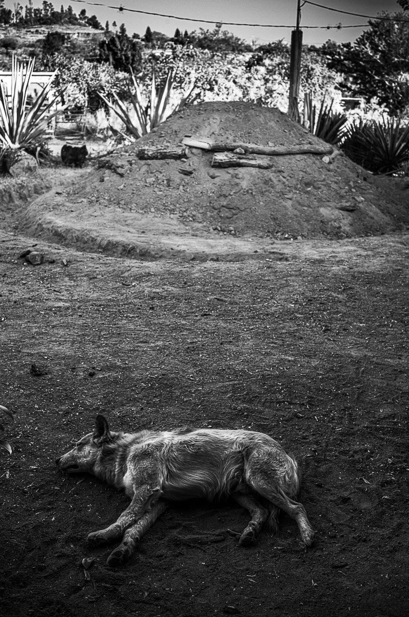 Mezcal-10.jpg
