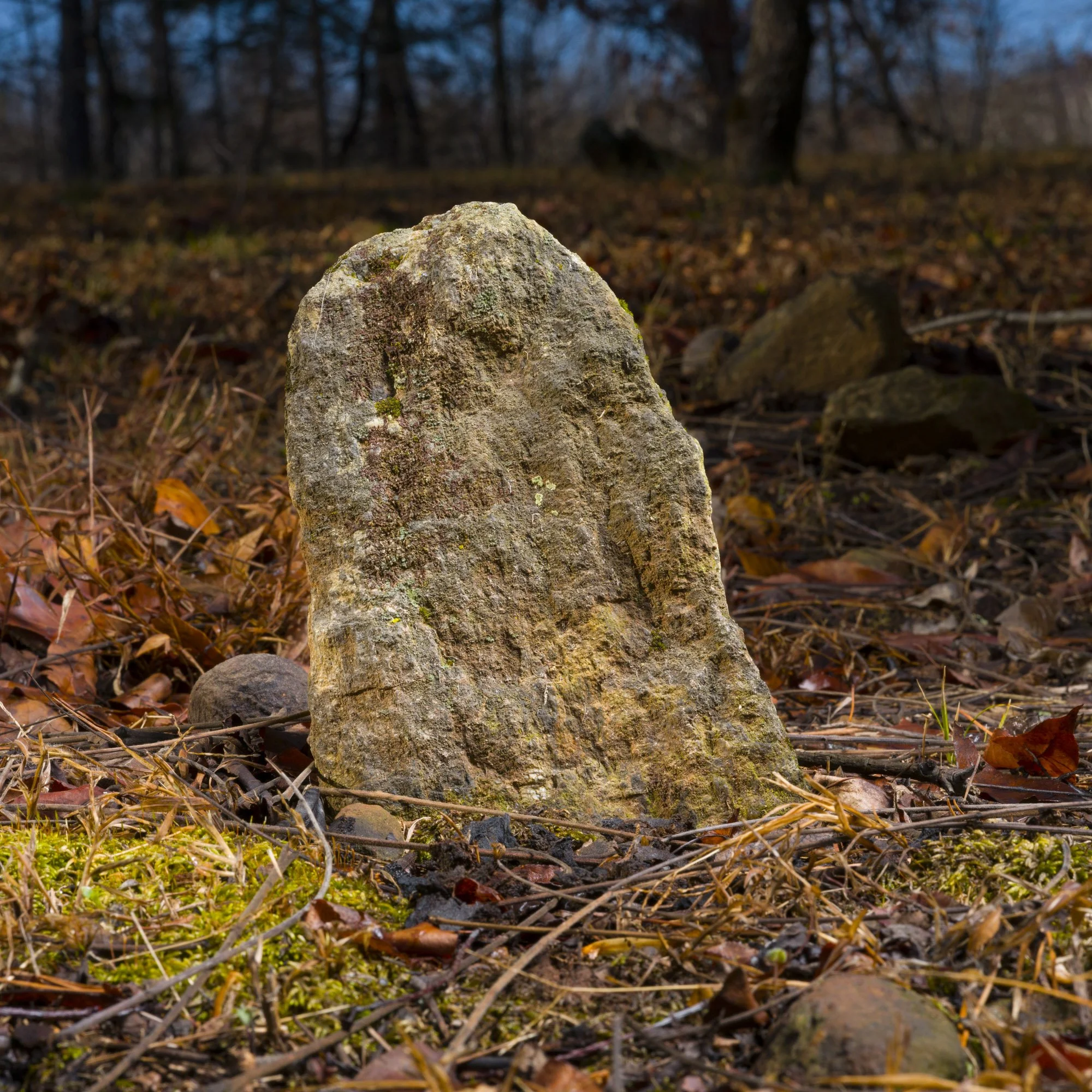 A tall, weathered stone standing upright on a forest floor covered with fallen leaves, twigs, and moss, with trees and a cloudy sky in the background.