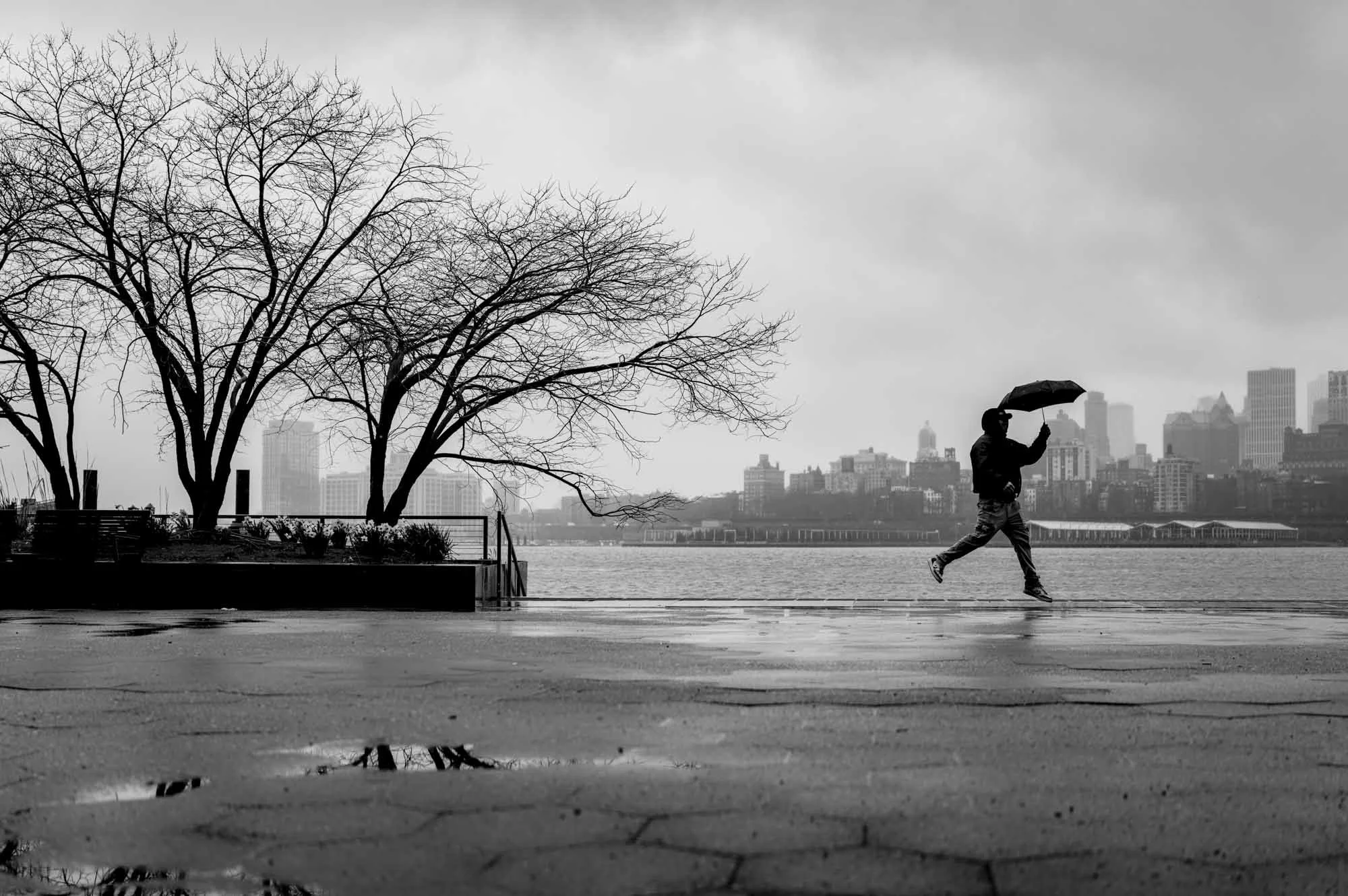 A person walking with an umbrella near a waterfront with city buildings in the background, trees without leaves, on a rainy day.