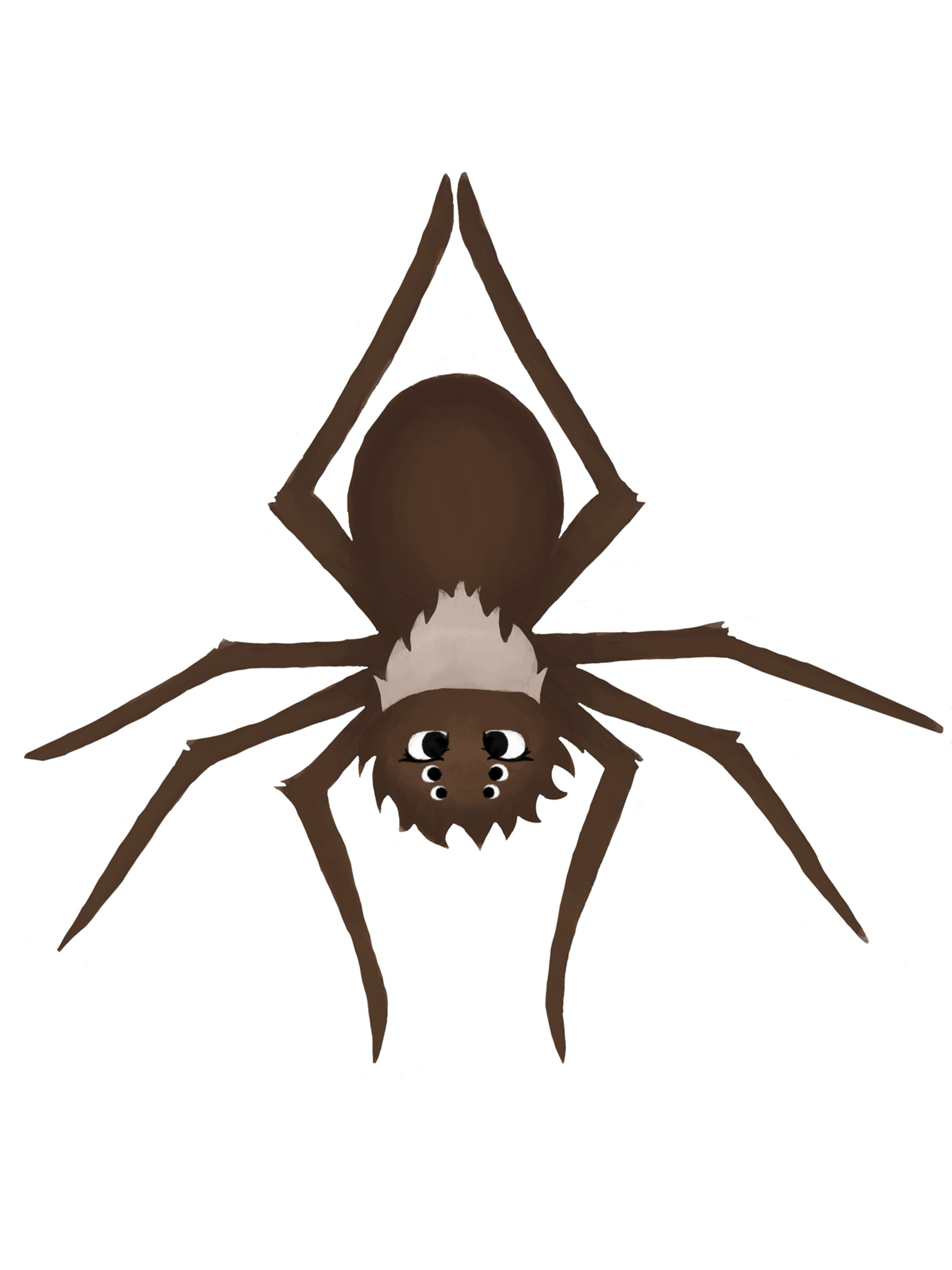 PB-spider graphic 2.png