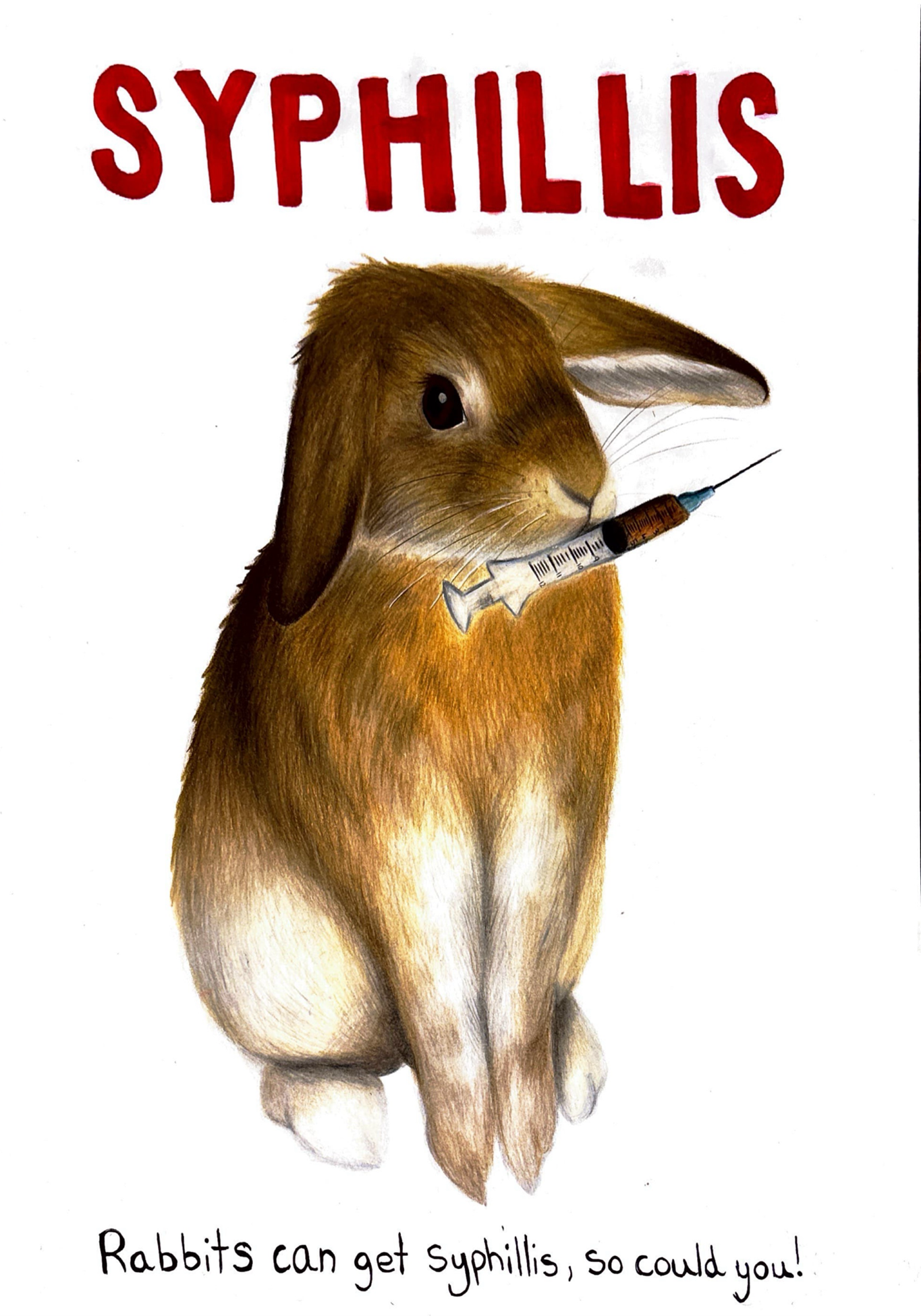 PB-bunny syphillis.png