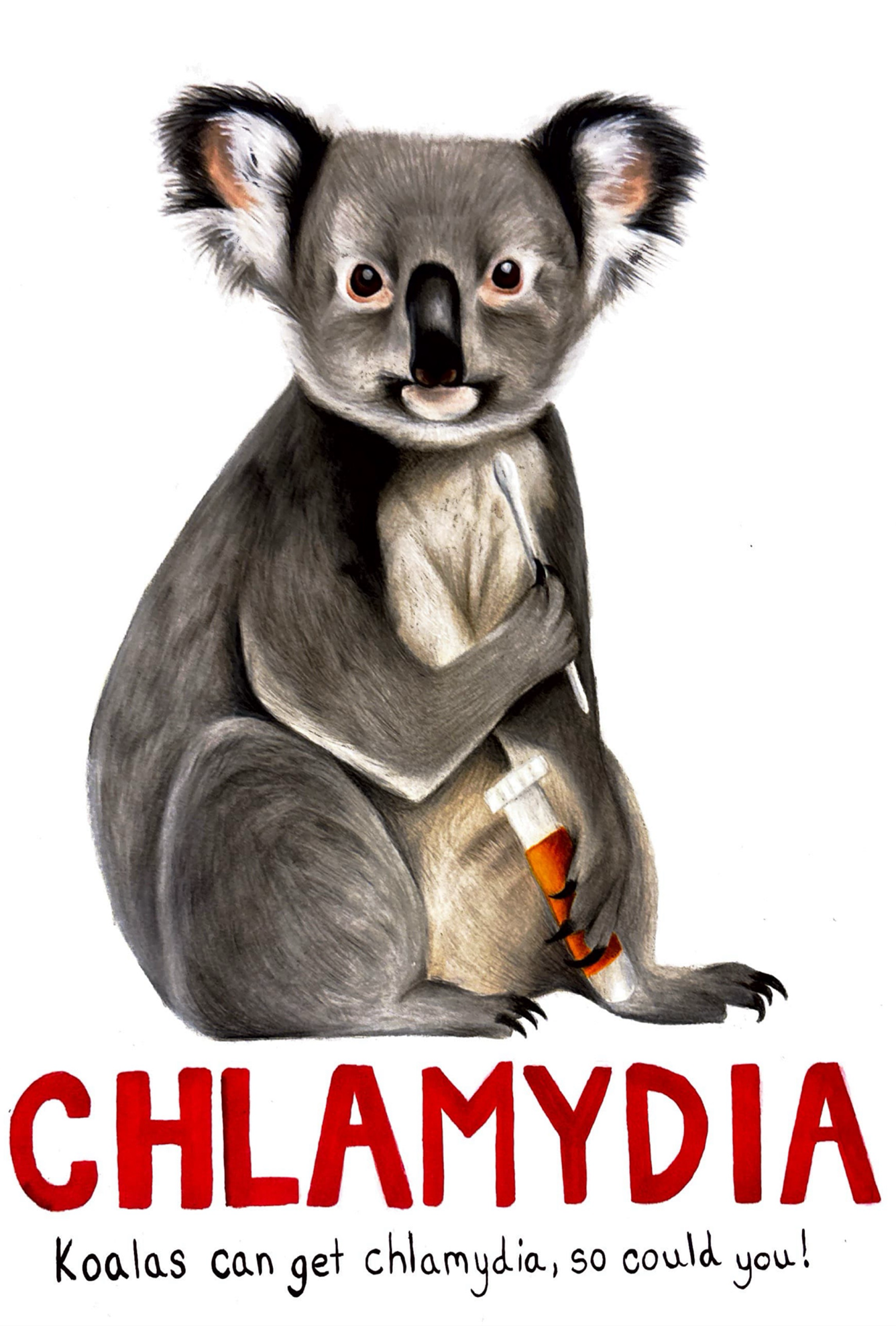 PB-koala chlamdyia.png