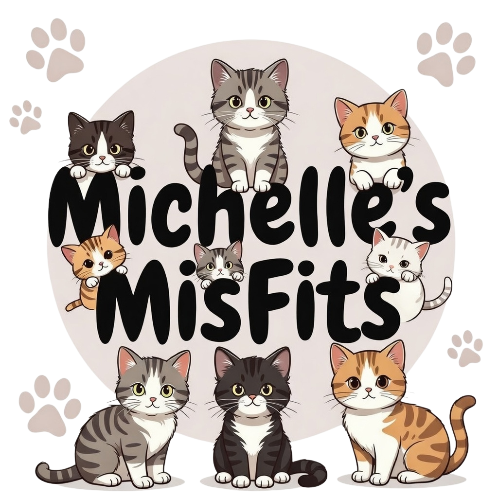 Michelle's Misfits