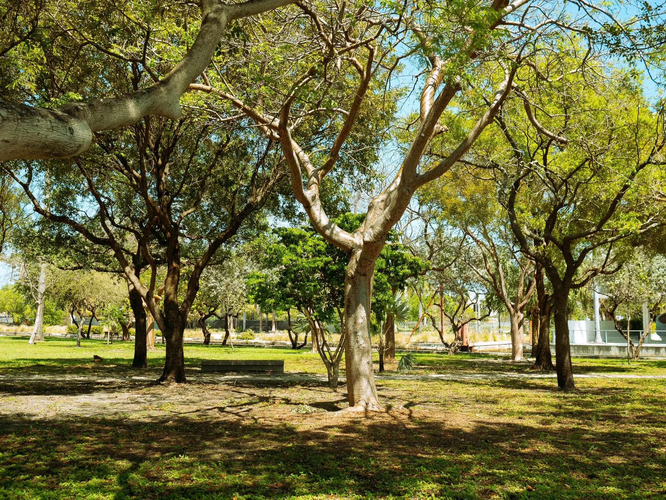 P1060314.jpg