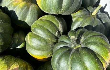 pumpkin-460x295.webp