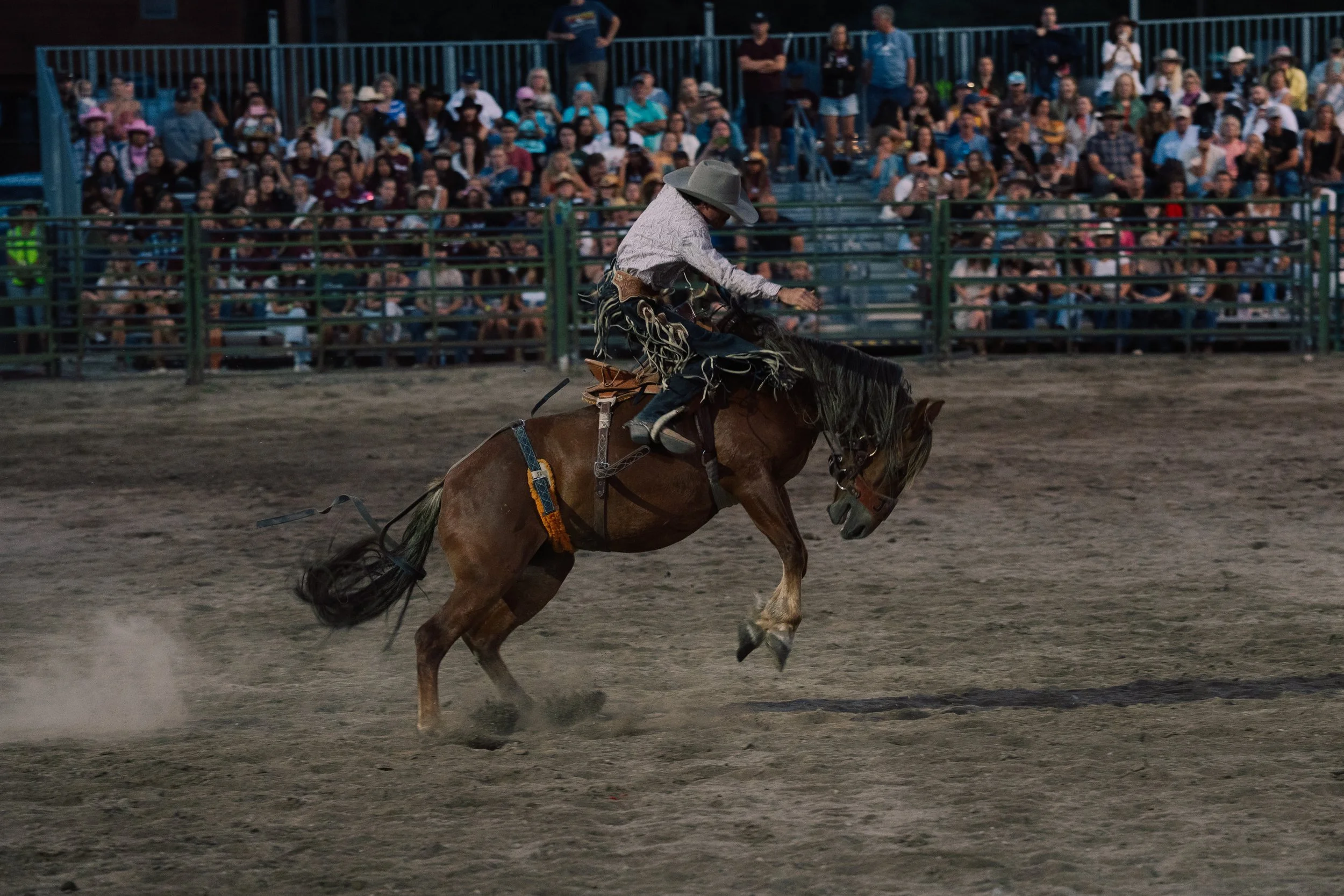 Rodeo-7.jpg