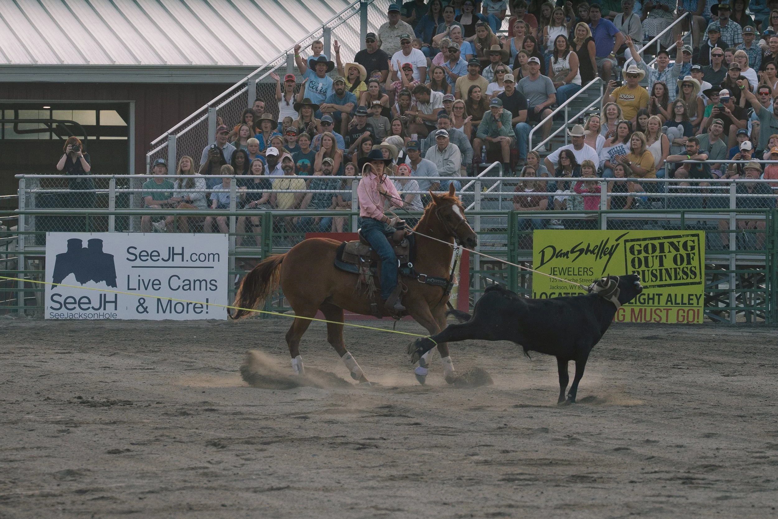 Rodeo-4.jpg