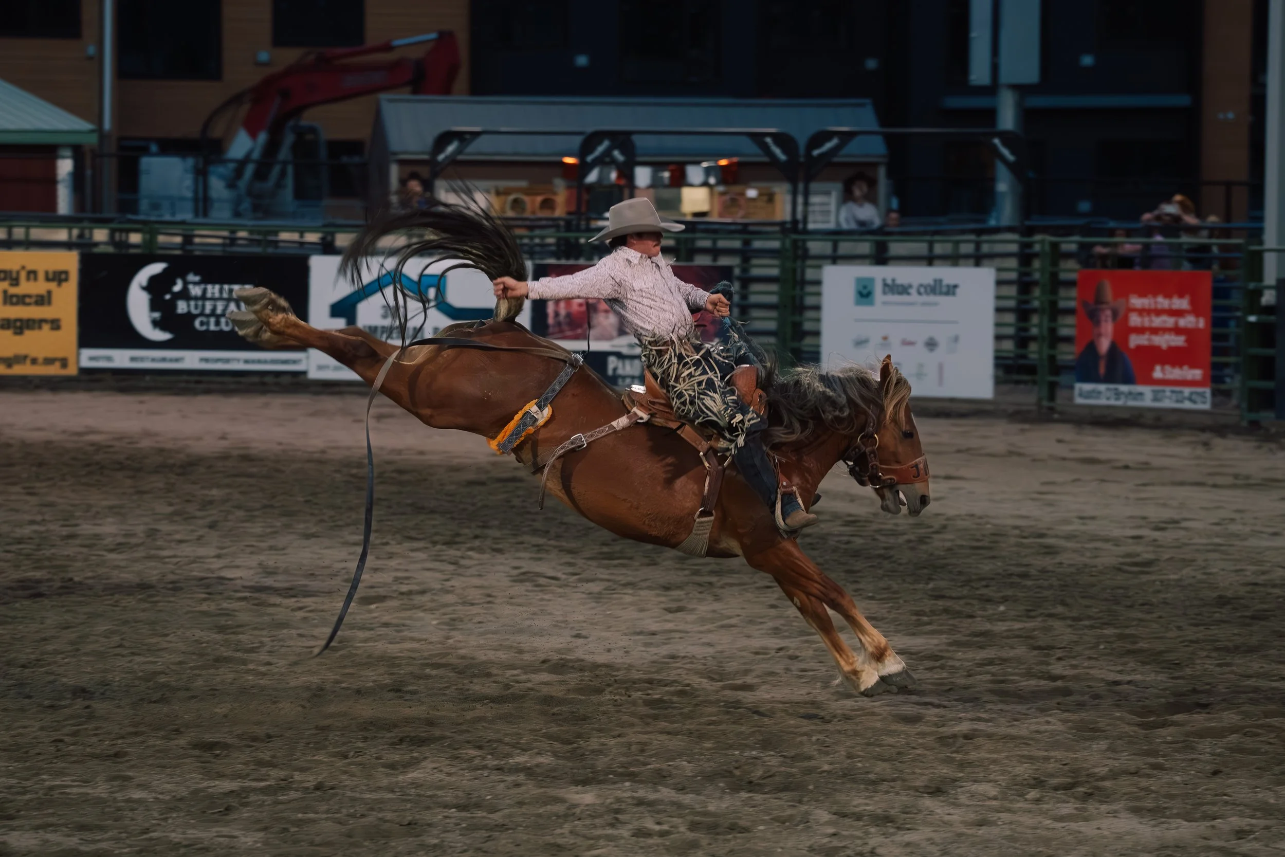 Rodeo-8.jpg