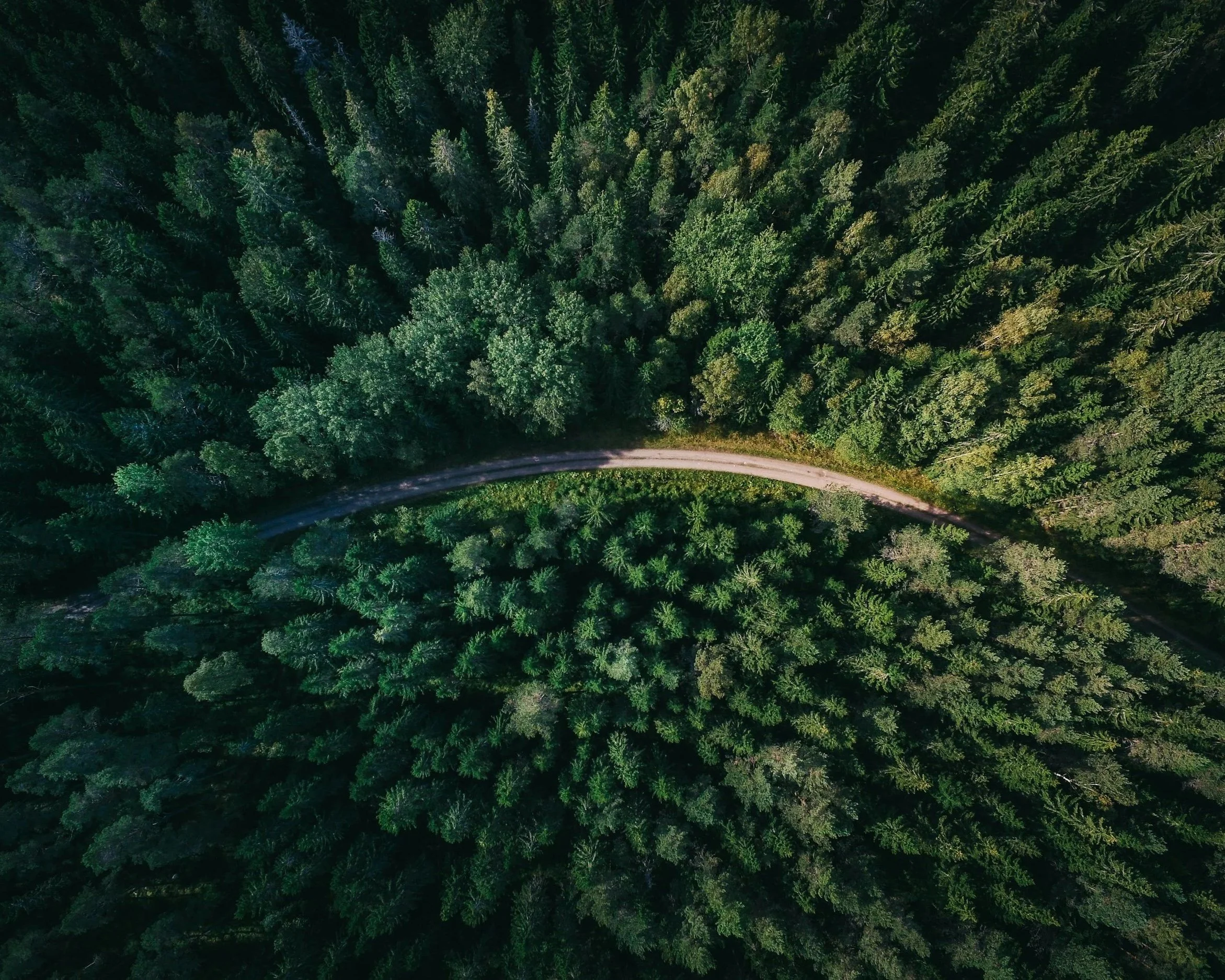 Aerial view of a paved road winding through a dense forest