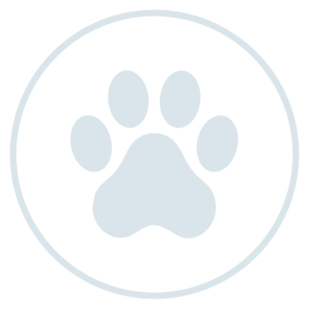 The Reserve of Sugarcreek | Dog Park