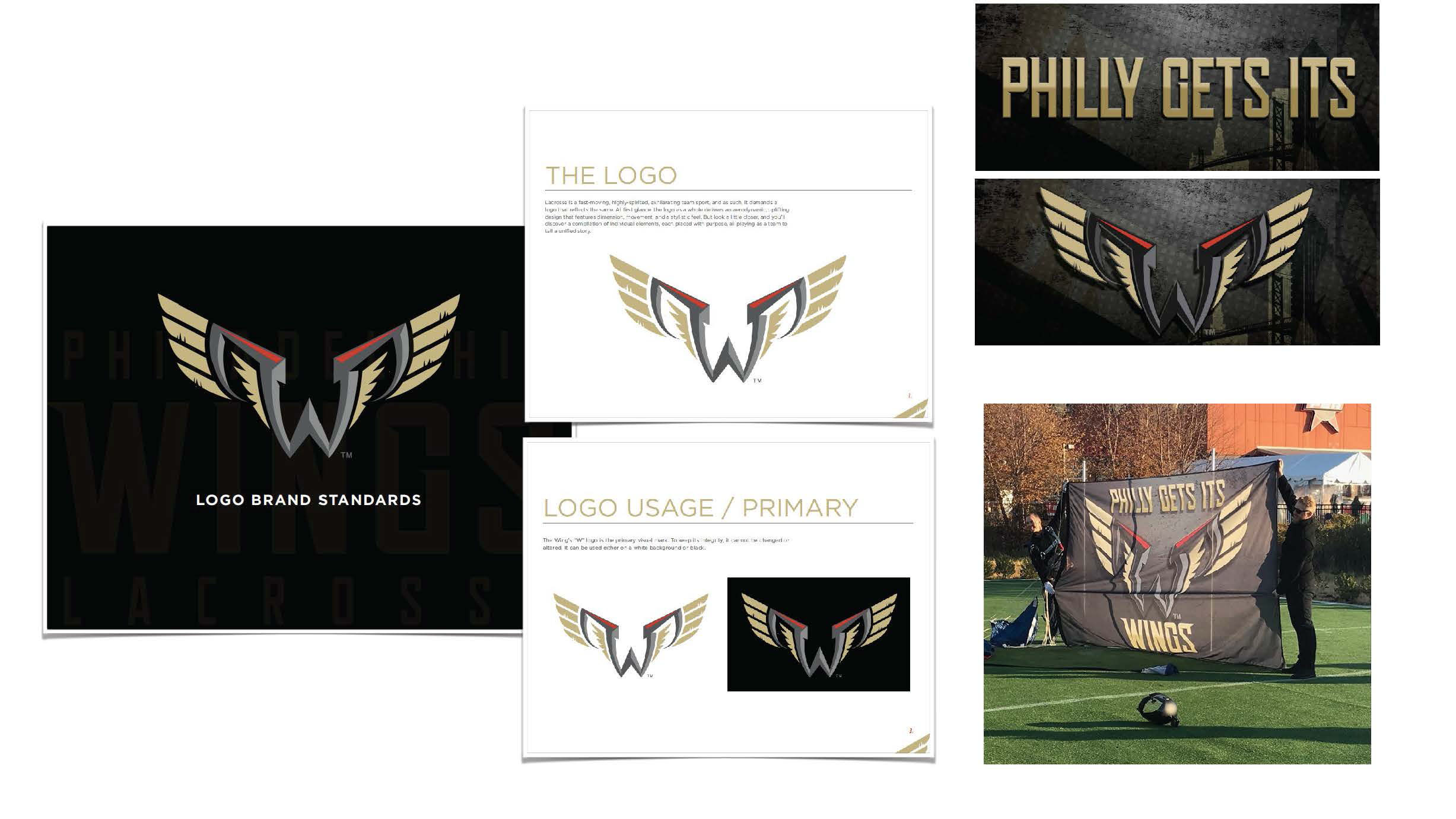 Wings Brand standards.png