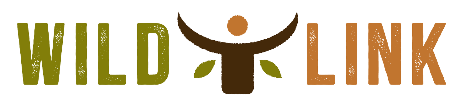 Wild-Link: Community-led human–wildlife solutions in Botswana