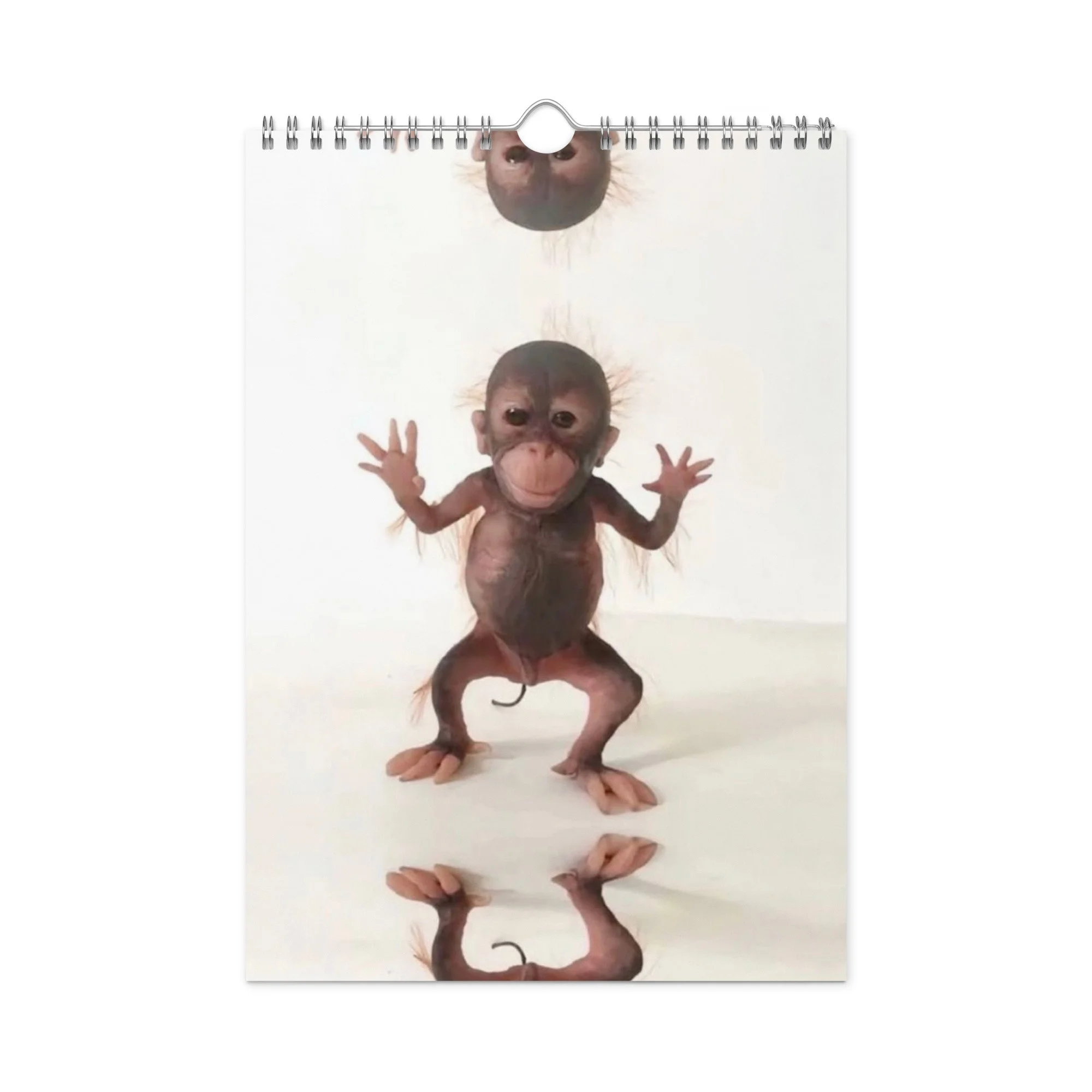 Wall calendar (2026)