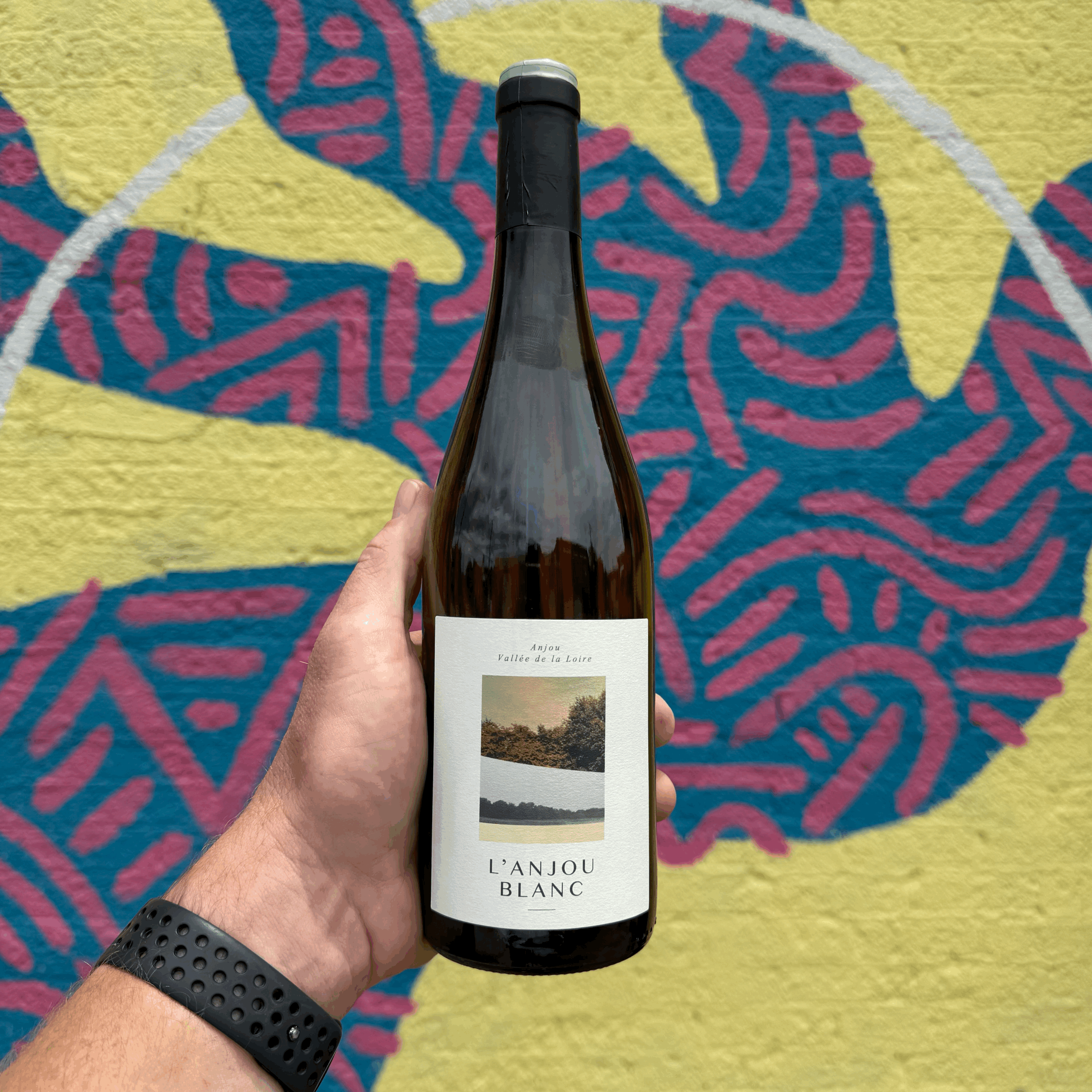 Chateau de Plaisance 'L'Anjou Blanc', Anjou 2022