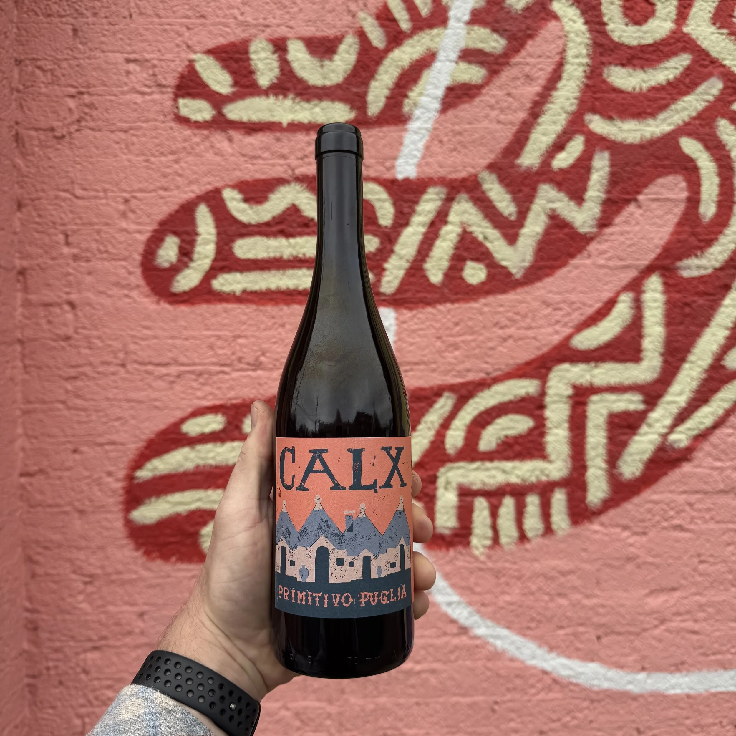 Cantine Polvanera 'Calix', Primitivo, Puglia 2021
