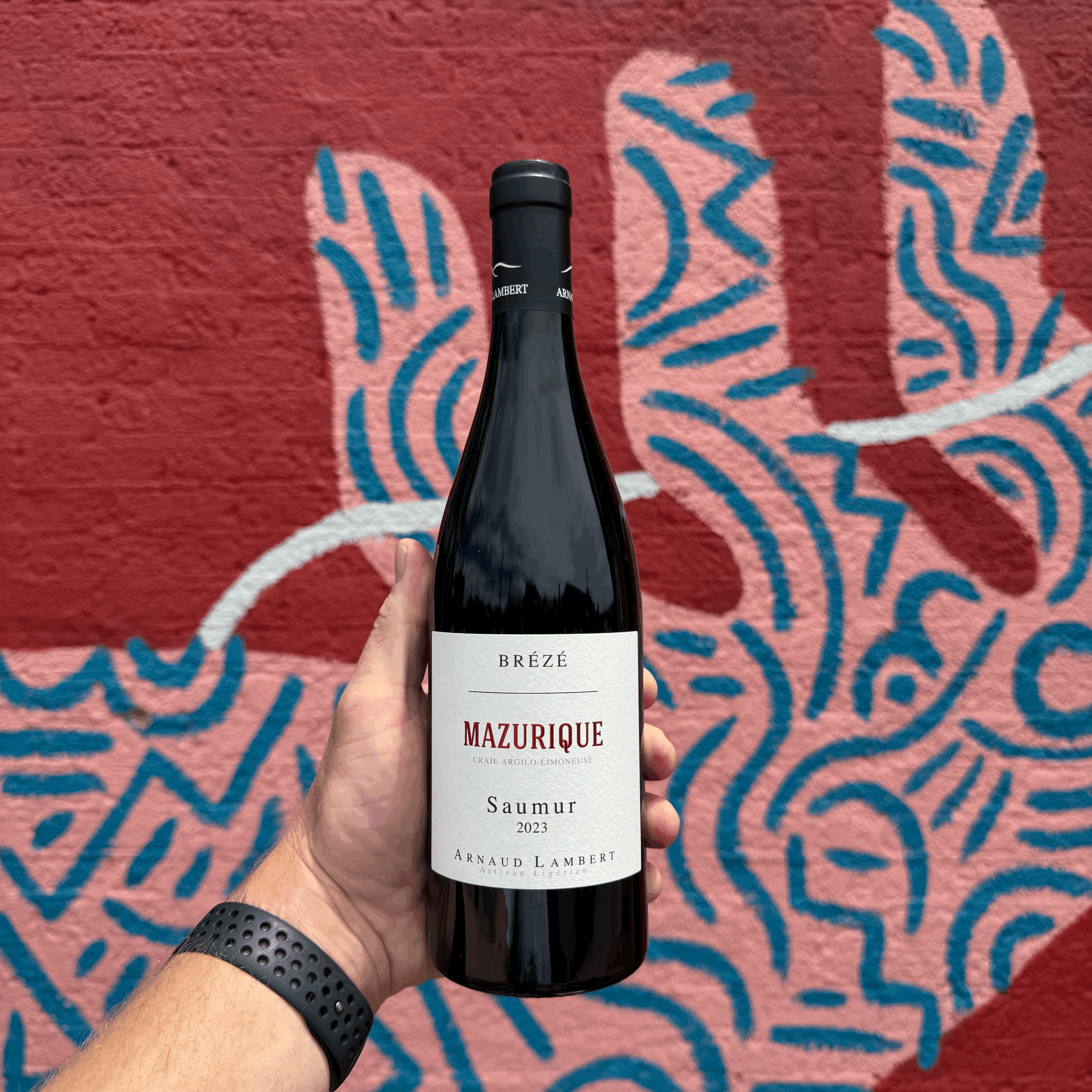 Arnaud Lambert 'Mazurique', Brézé - Saumur 2023