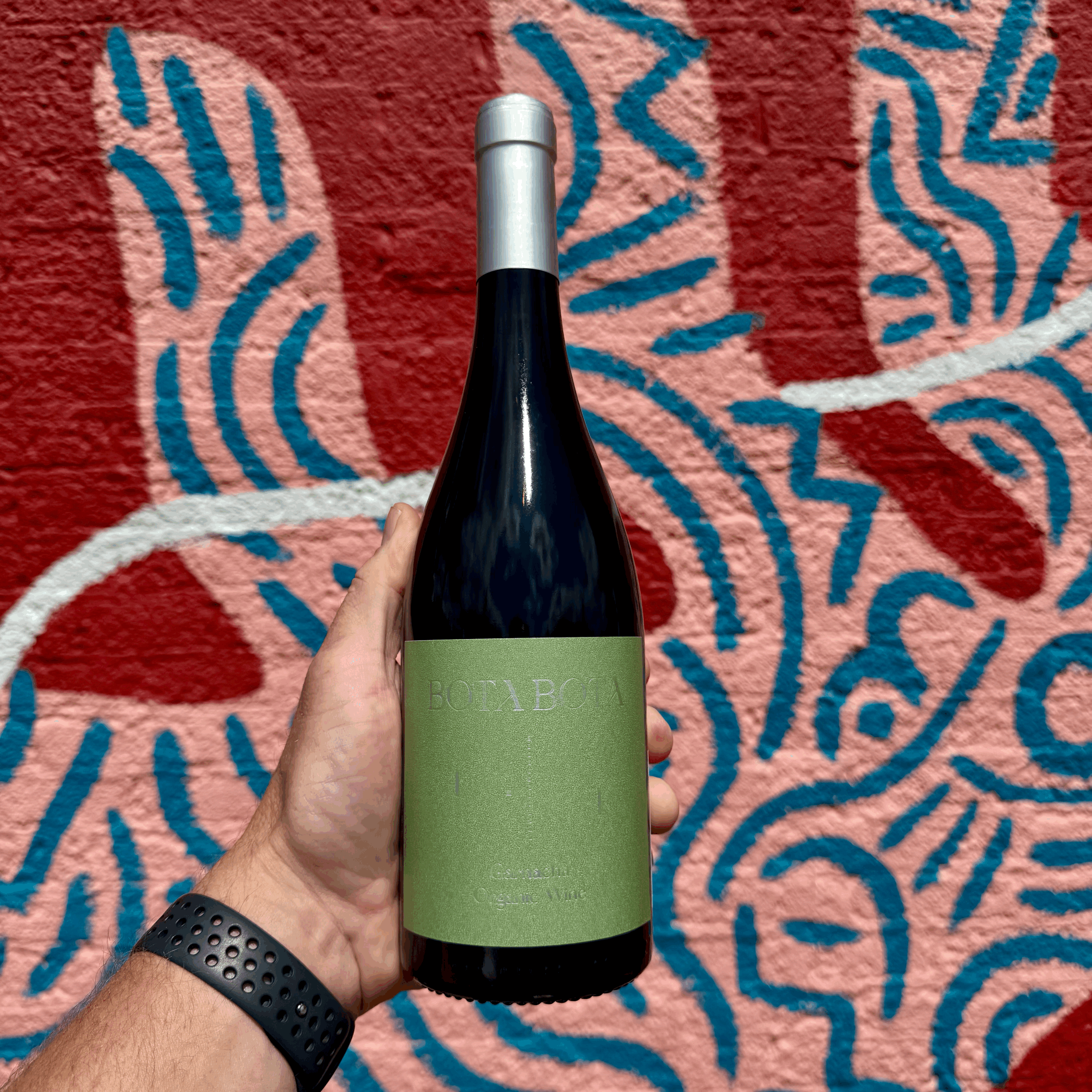 Bota Bota, Garnacha, Carinena 2023