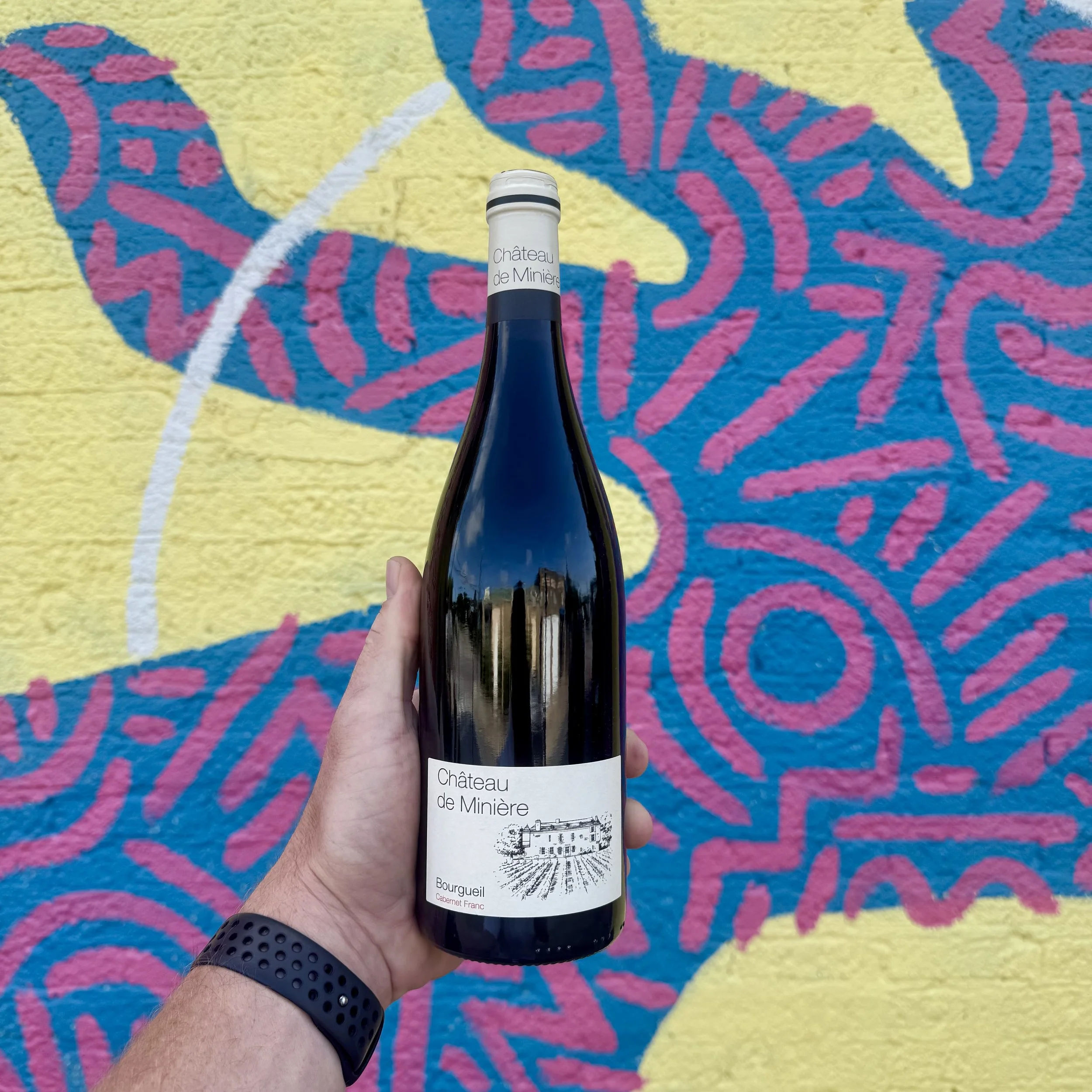 Château de Minière, Cabernet Franc, Bourgueil 2018