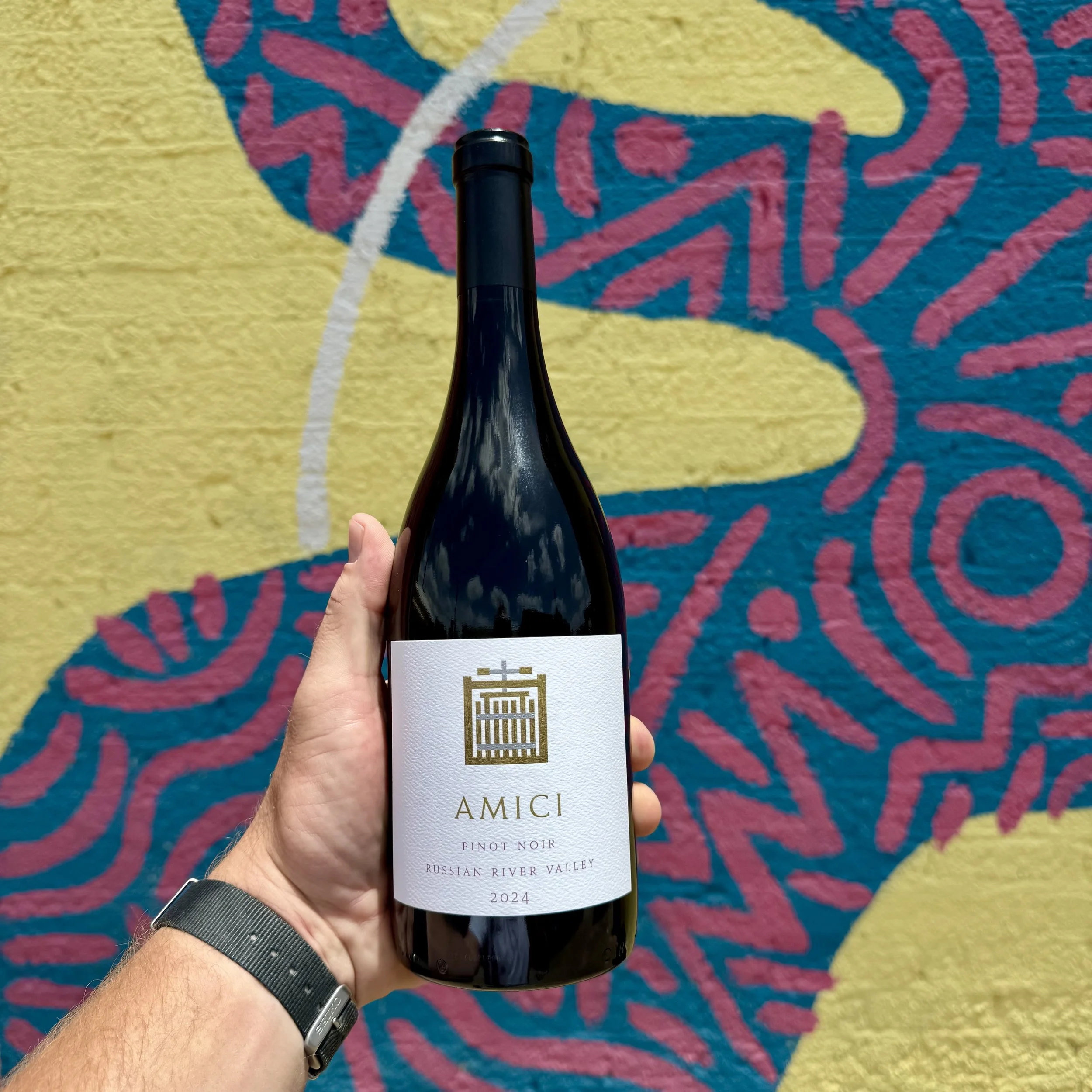 Amici Cellars, Point Noir, Russian River Valley 2024