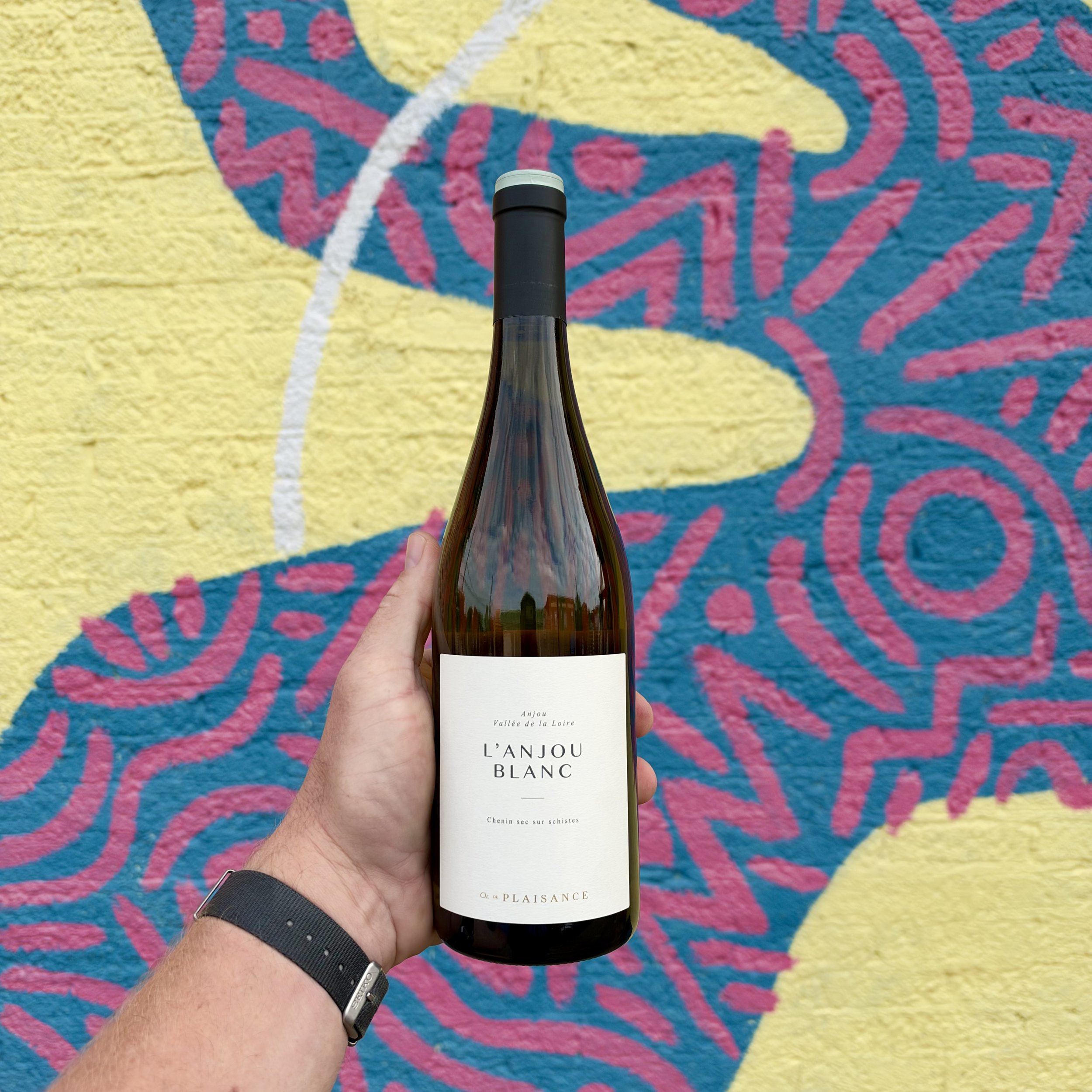 Chateau de Plaisance 'L'Anjou Blanc', Anjou 2023