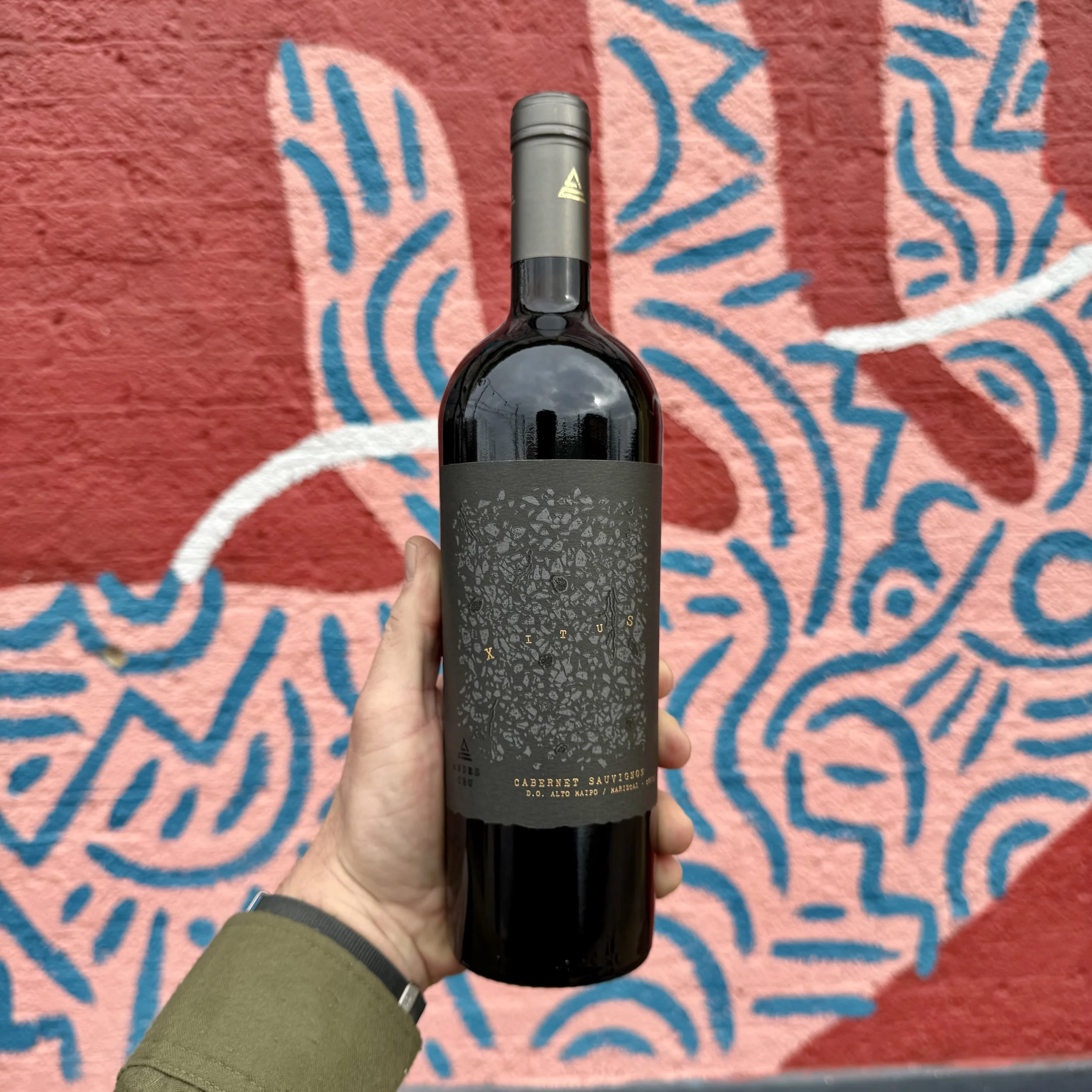 Andes Cru 'Xitus', Cabernet Sauvignon, Alto Maipo 2021