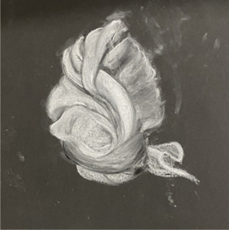 Chalk drawing of a rose on a blackboard
