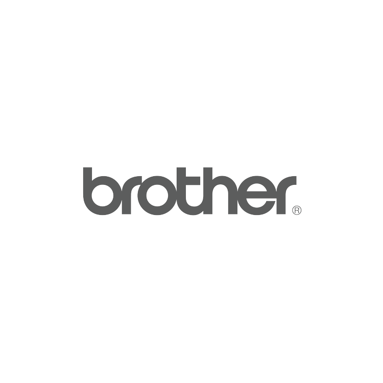 brother.webp