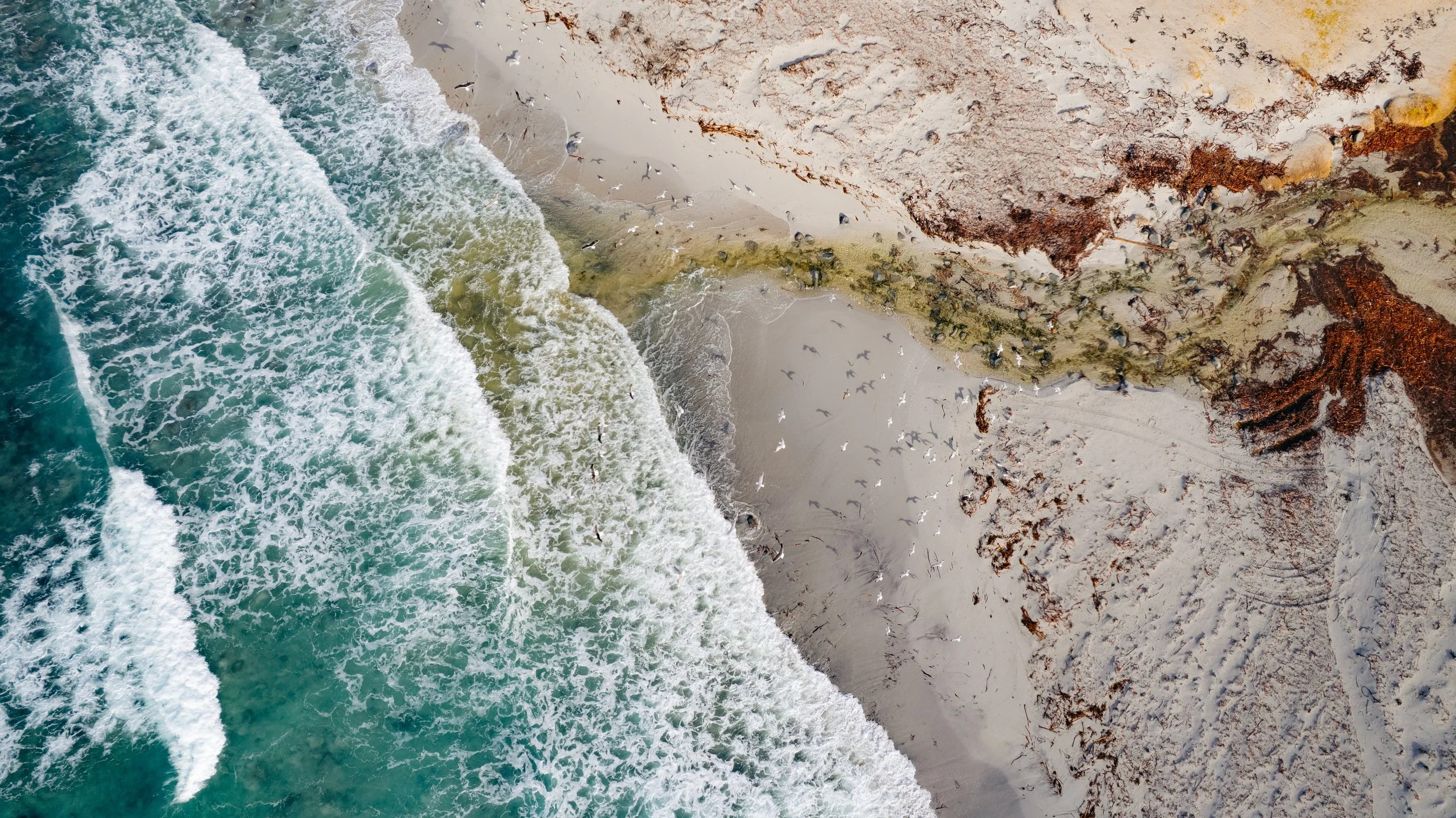 DJI_0939.jpg