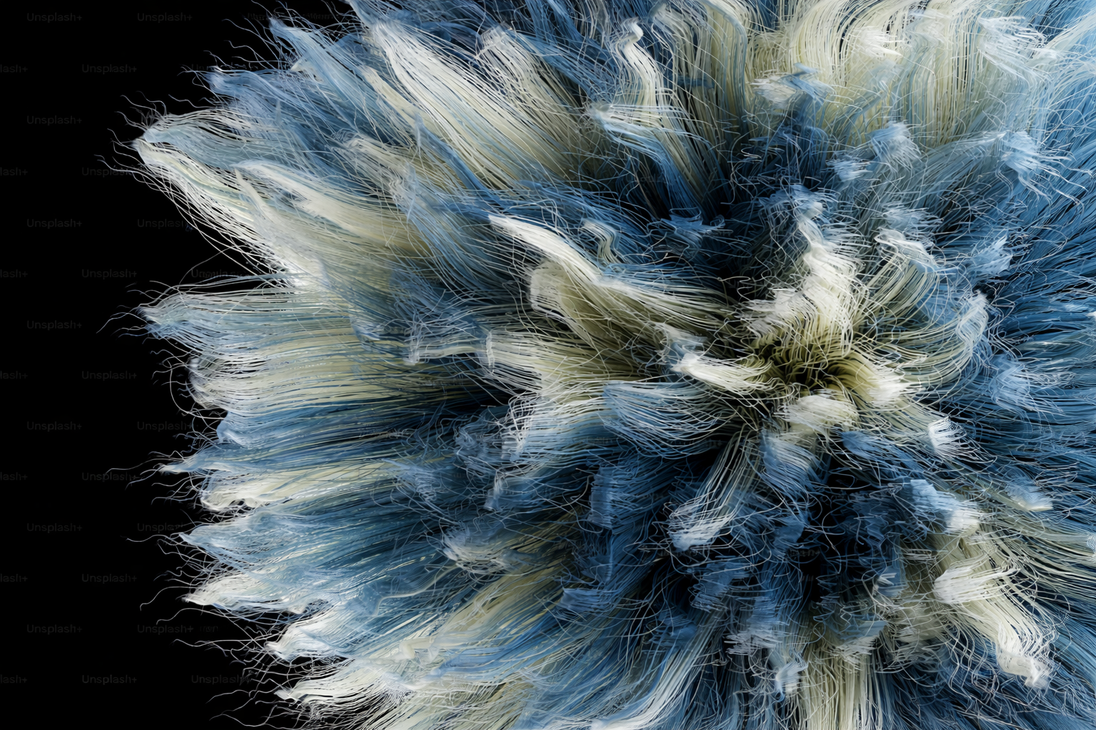 Close-up of a blue and white sea anemone with flowing, tentacle-like structures.