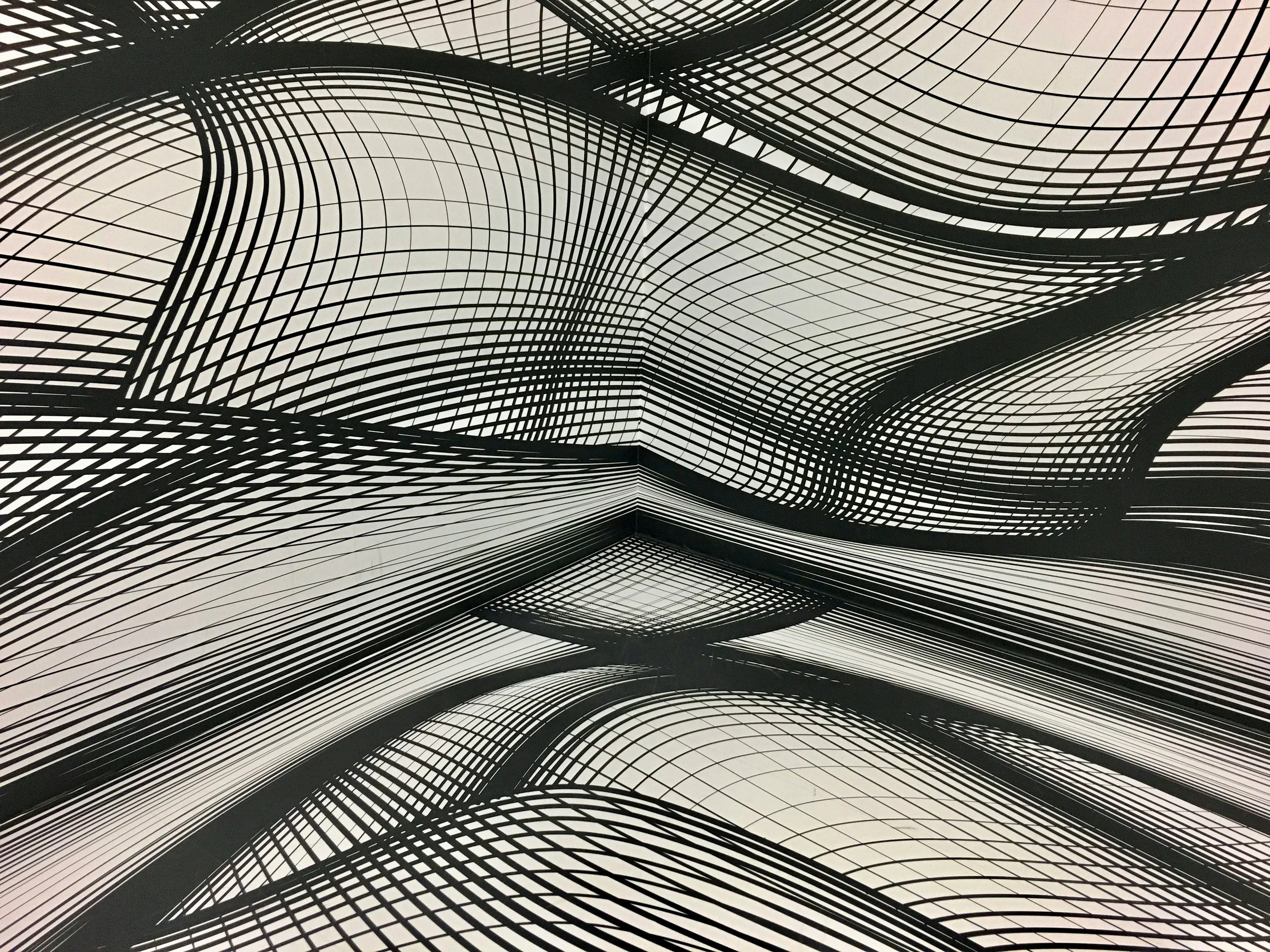 Black abstract line art illustration of curved and wavy grid patterns on a white background.