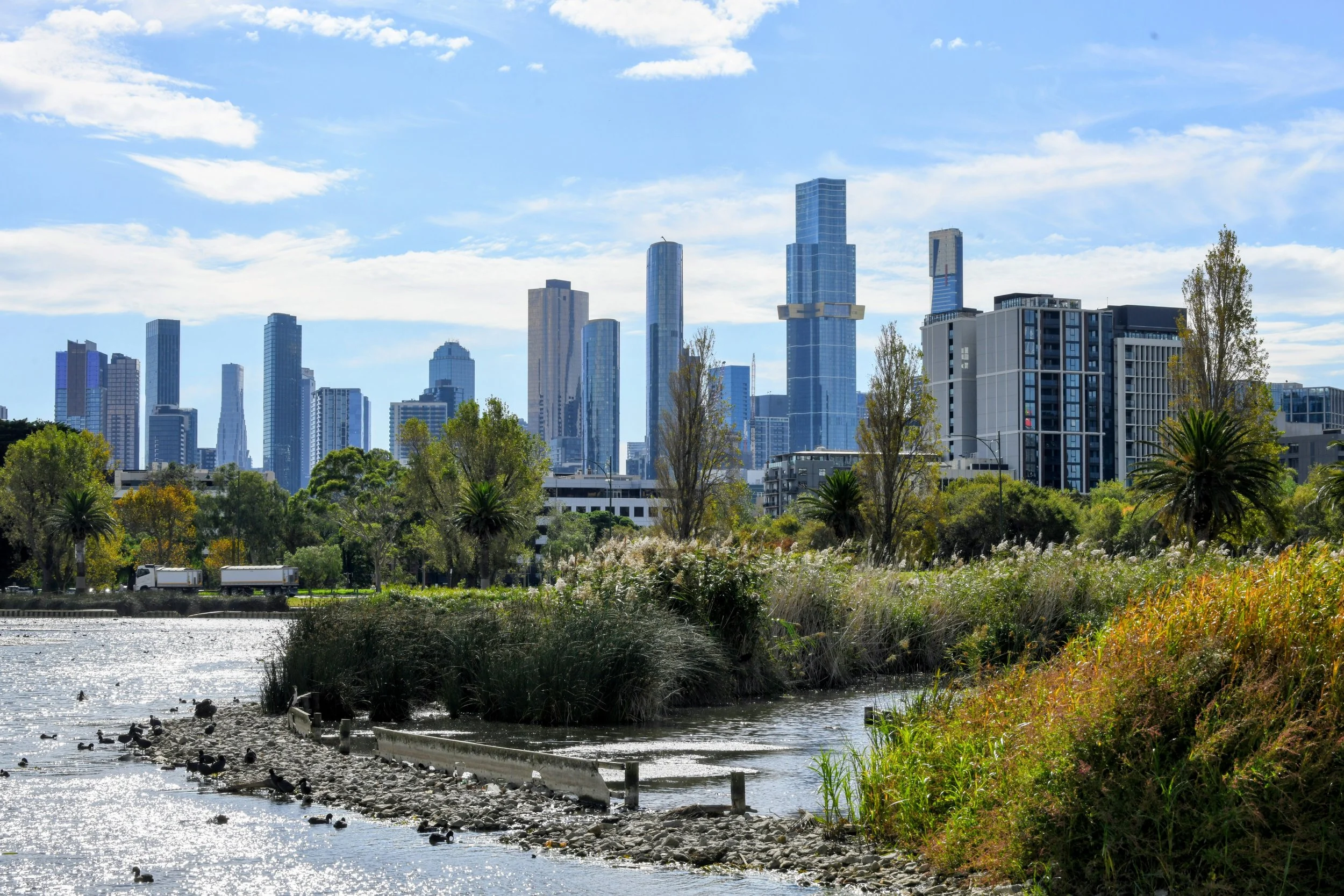 View of a city skyline with tall modern skyscrapers, seen from a park or waterfront area with trees and a river or lake in the foreground, and ducks swimming in the water.