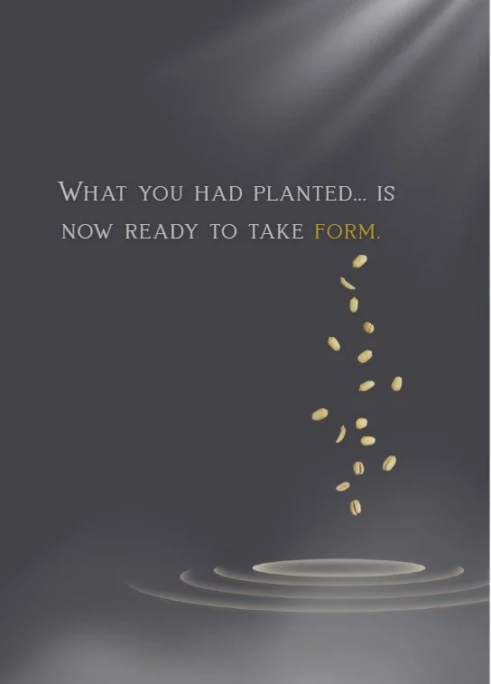 Promotion - Planted.jpg