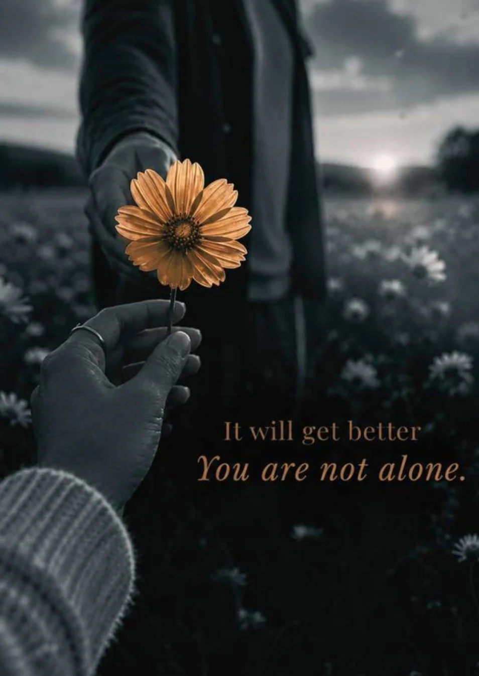 Grief - It will get better.jpg