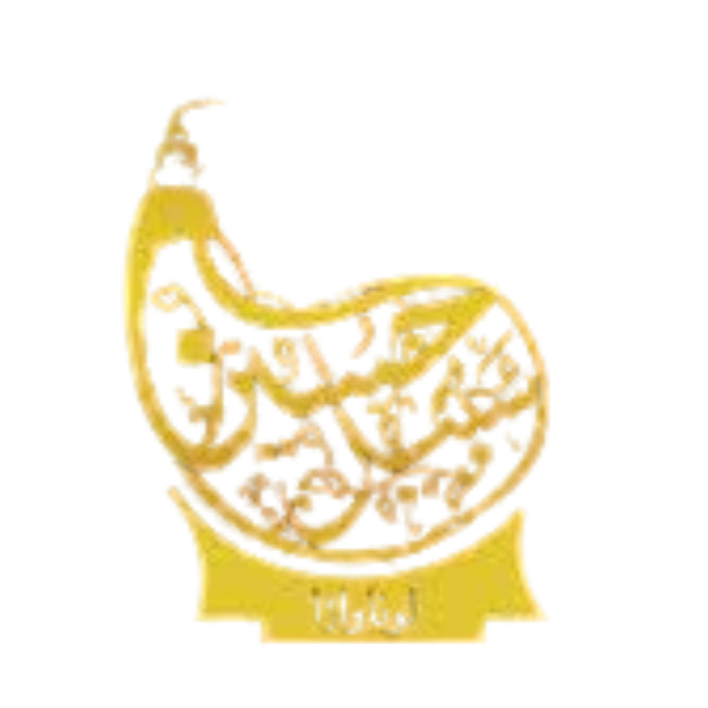 Sabeel E Hussain