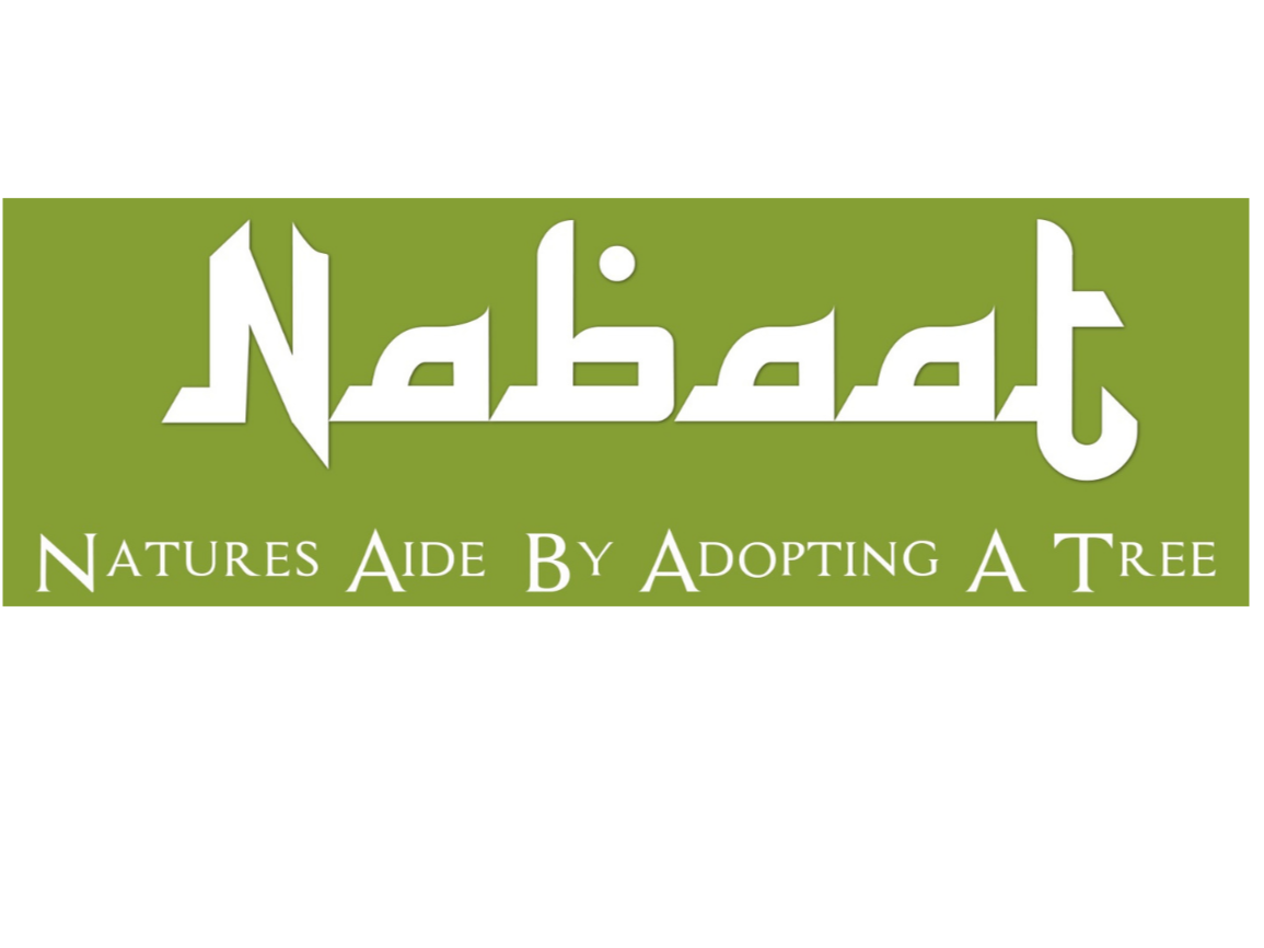 Nabaat