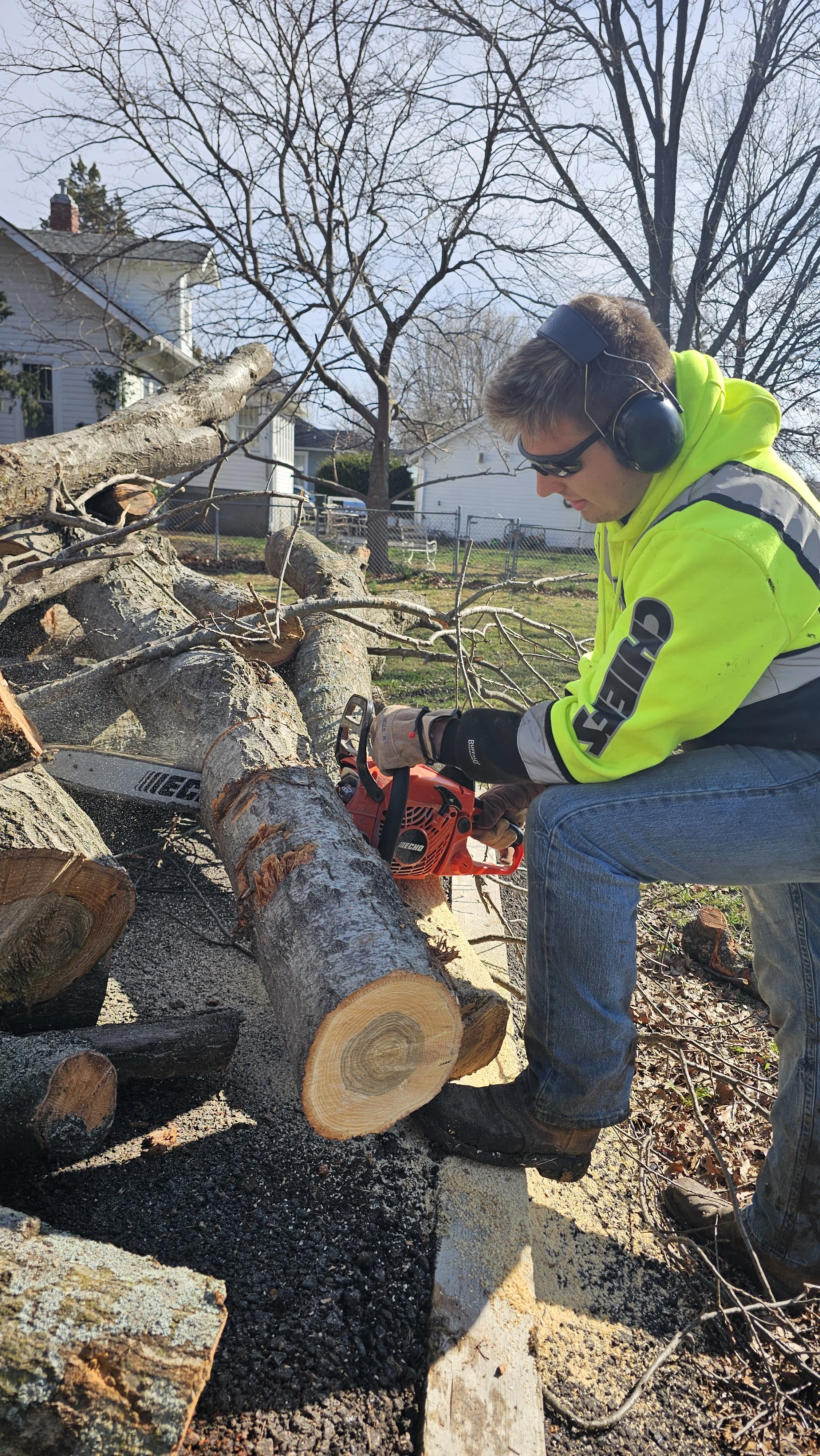 Tree Limb Trimming & Removal