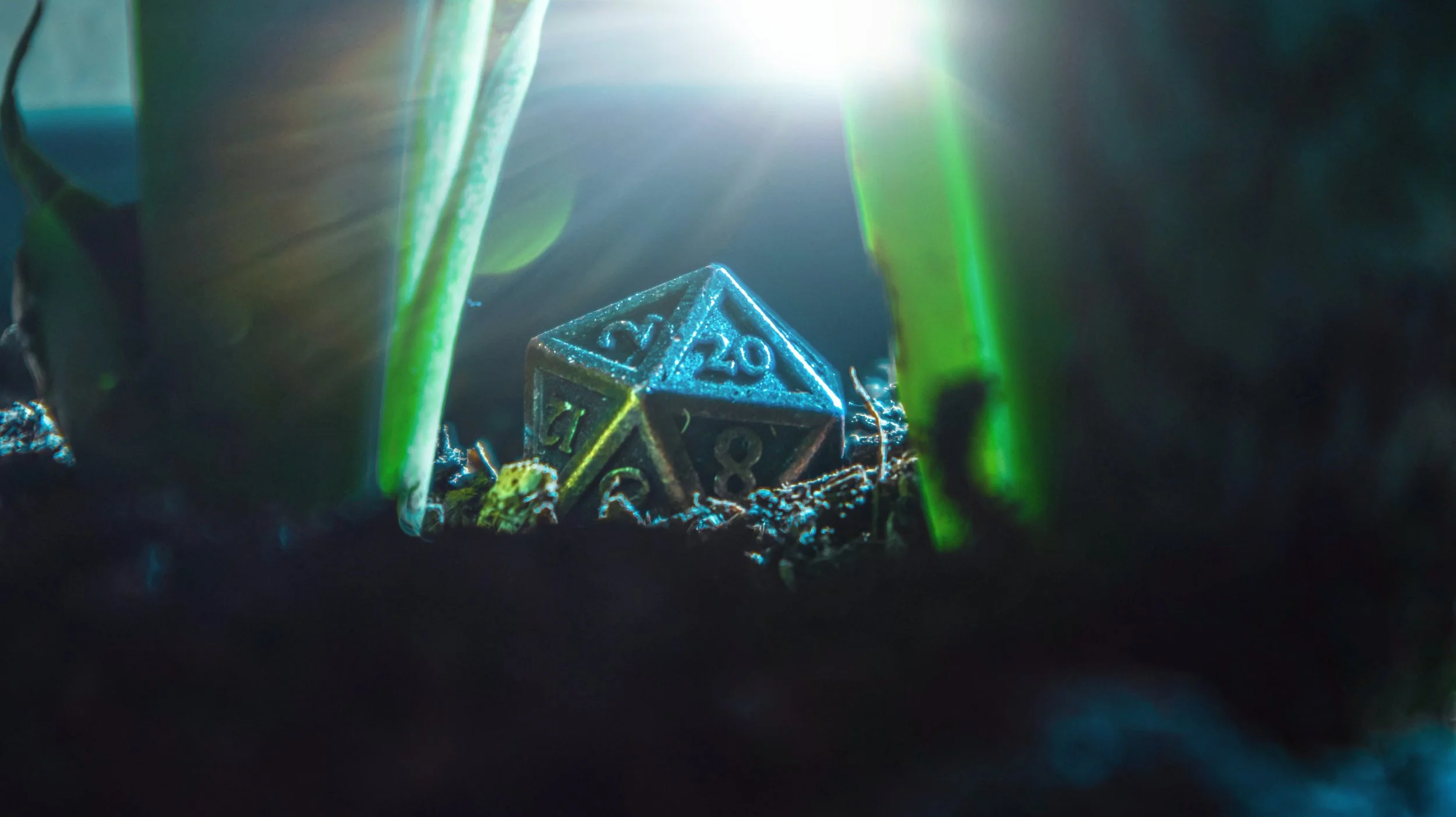A 20-sided die (d20) partially buried in dark soil, surrounded by green plant stems, with sunlight streaming down from above.