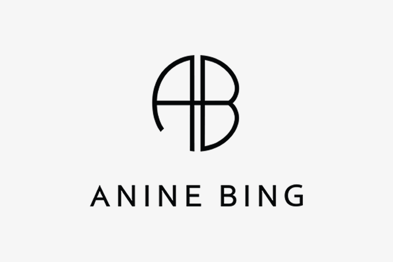 Anine Bing