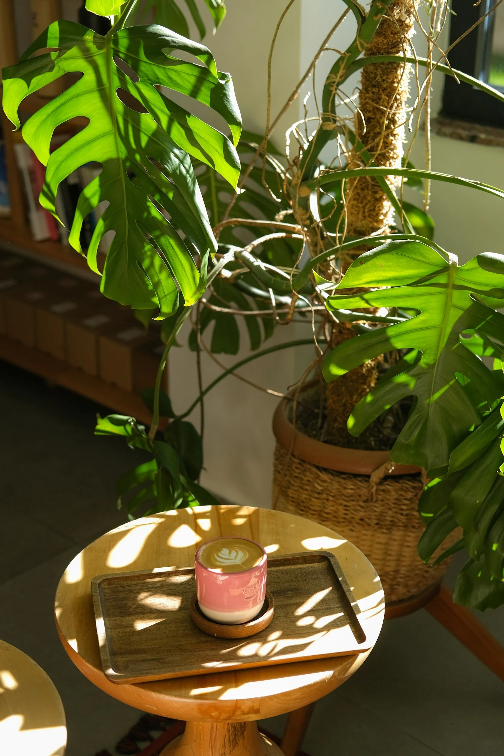 Sunlight streaming through a leafy indoor plant casting shadows on a small round wooden table. The table has a rectangular tray holding a pink and white ceramic cup with latte art on a saucer.
