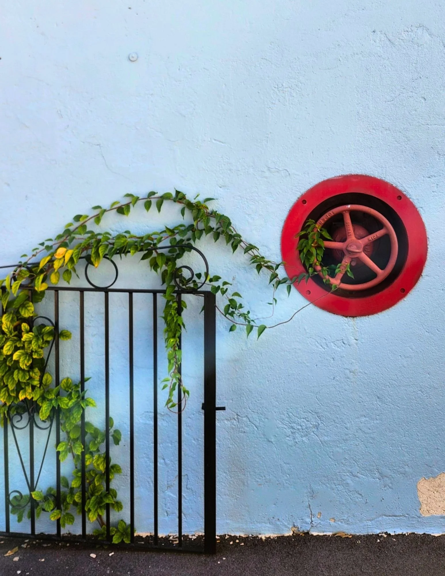 Photography by Zack Ridenoure