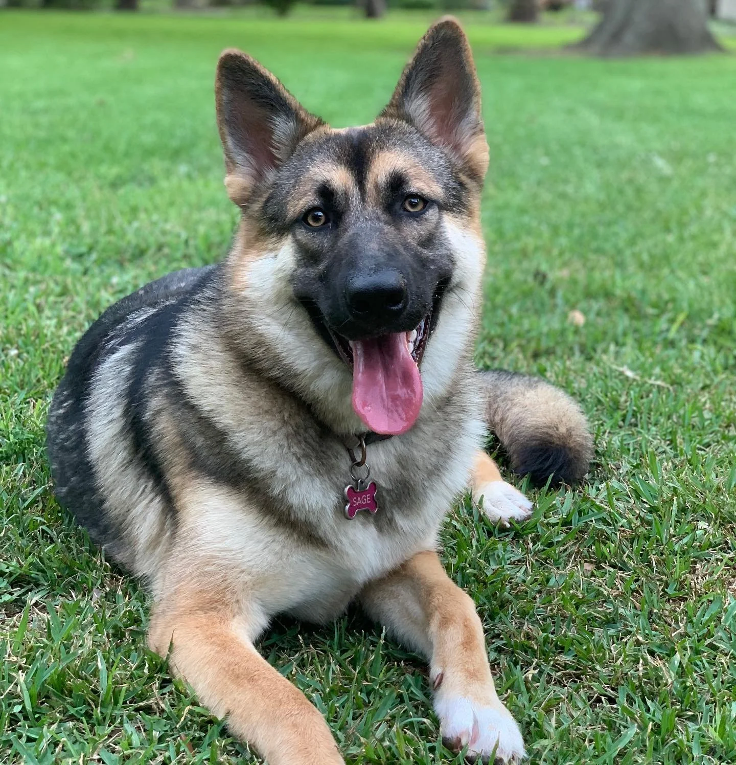 Discovery Call & Waitlist