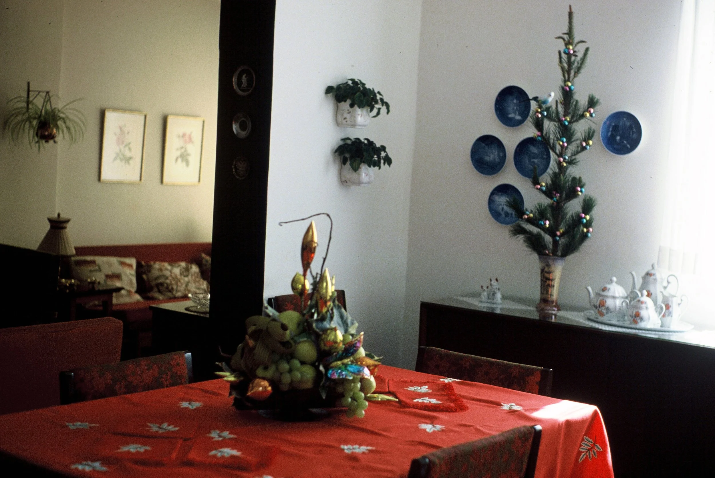 A dining room decorated for Christmas with a table covered with a red tablecloth and a Christmas-themed centerpiece made of grapes, fruit, and ribbons. A corner wall has two shelves with potted plants, and a Christmas tree decorated with colorful ornaments attached to the wall. Plates are arranged on another wall with a collection of teapots underneath.