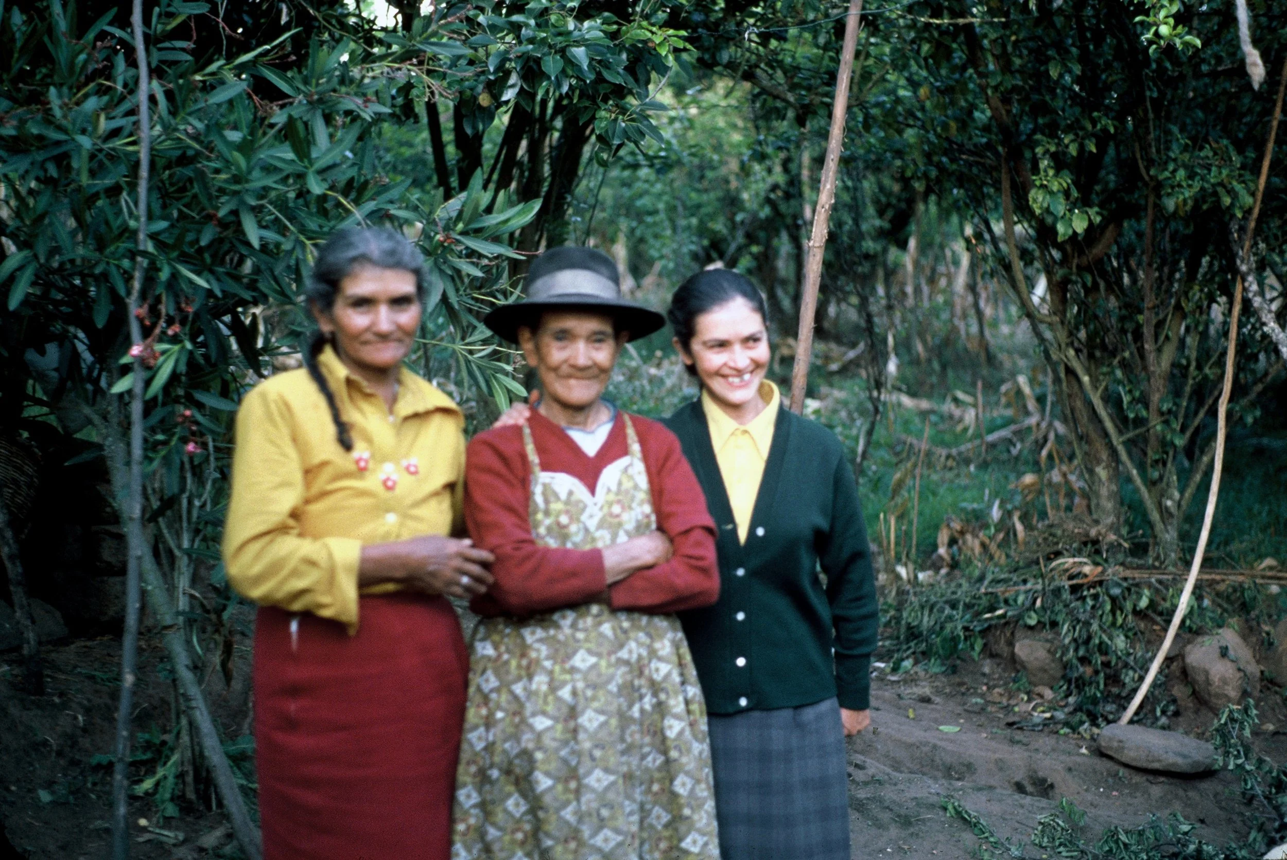 Four women standing outdoors among dense green foliage, smiling at the camera. They are dressed in colorful, traditional-style clothing.