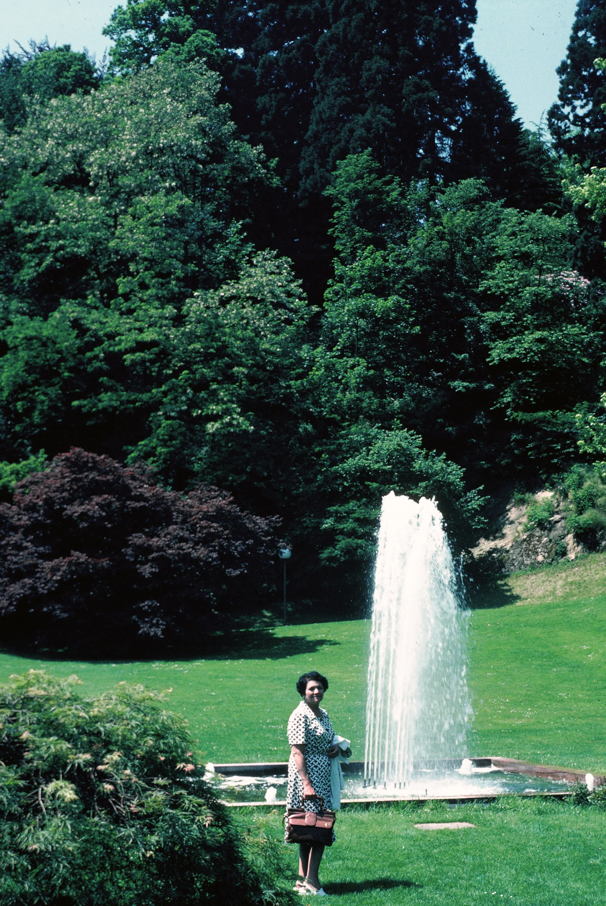 A woman standing in a park near a fountain with a waterfall feature, surrounded by lush green trees and grass, with a blue sky in the background.