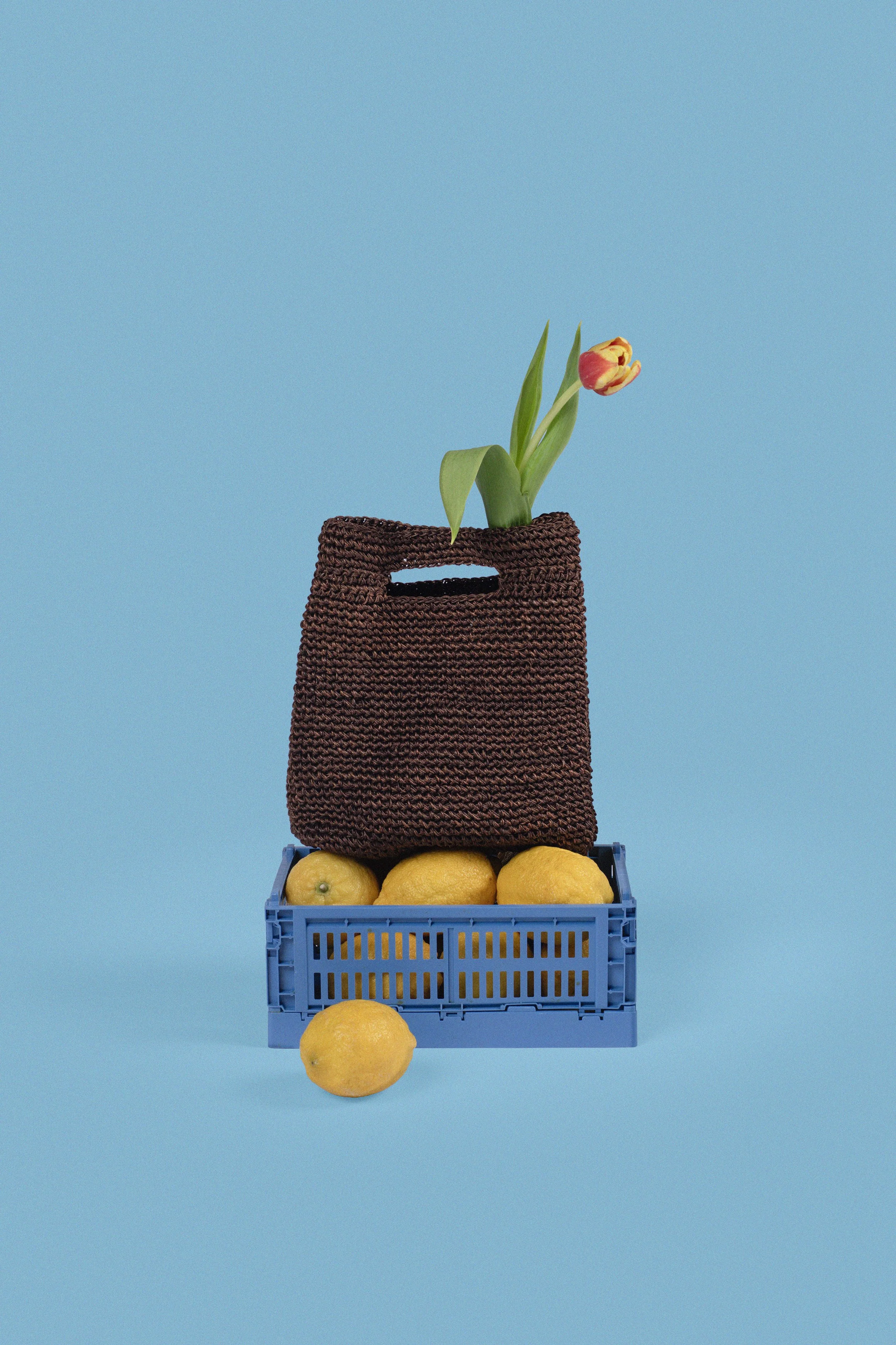 Lunchbox Handbag