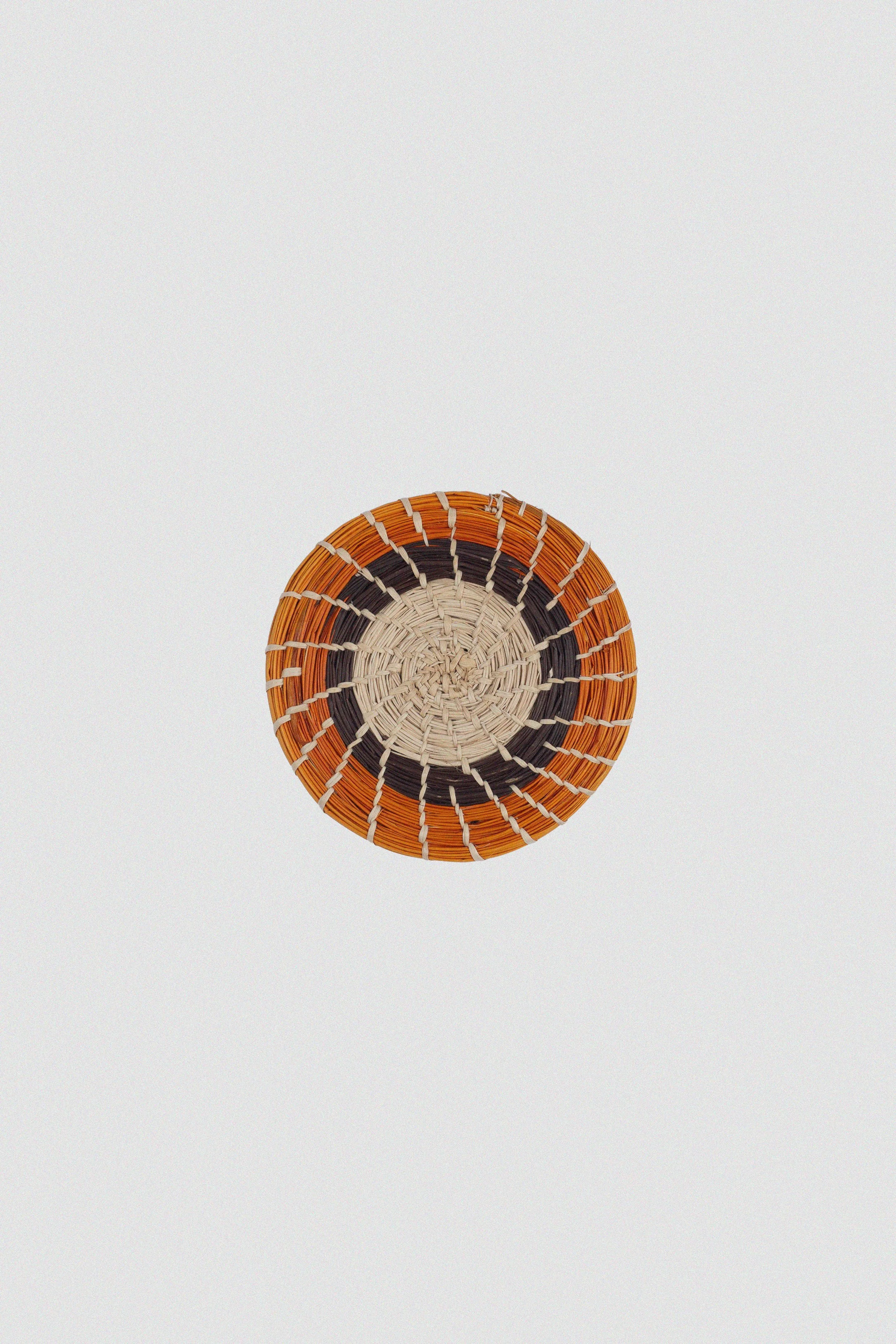 sol-coaster-1.jpg