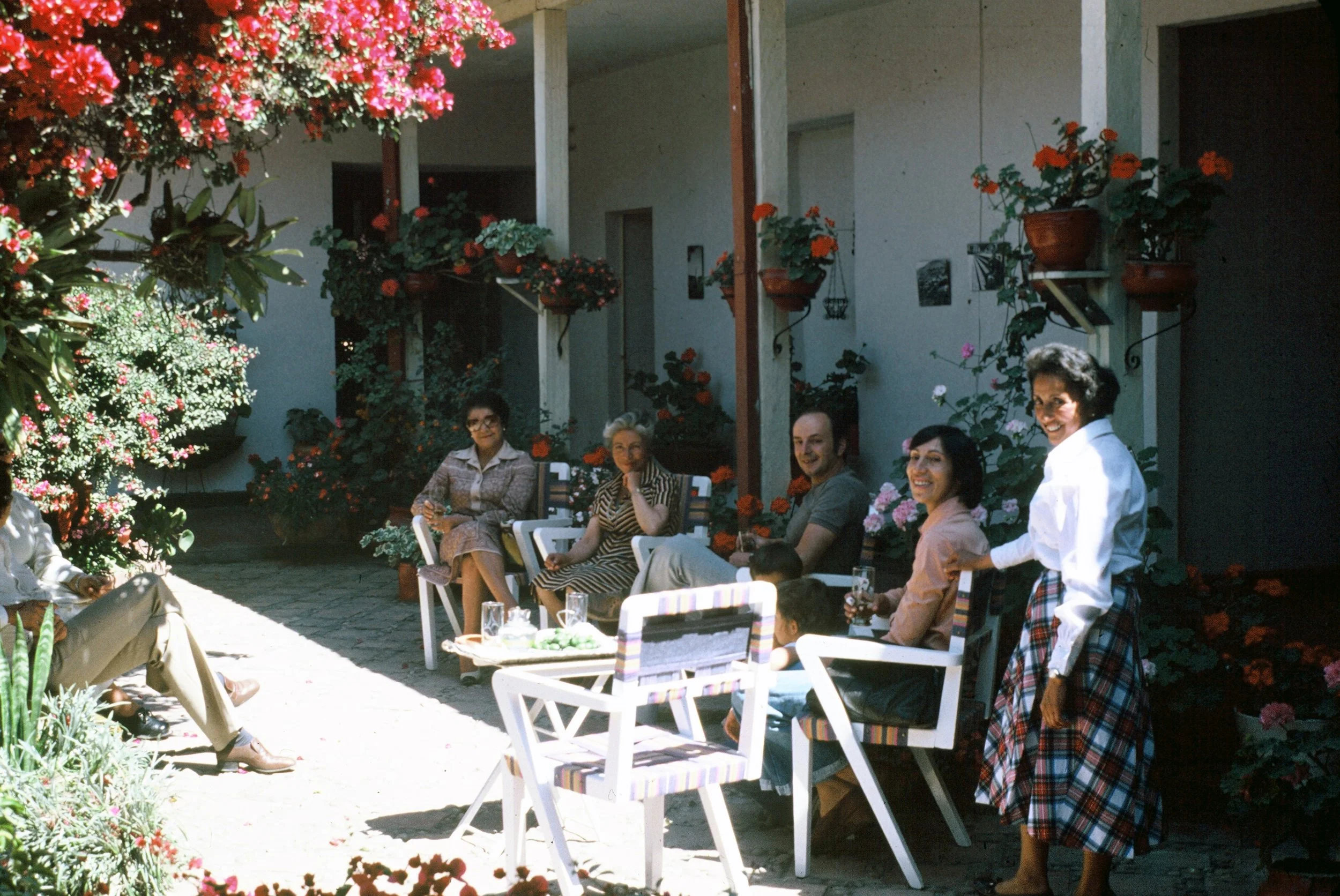 A group of people sitting and standing outdoors on a patio surrounded by colorful flowers, enjoying a social gathering.