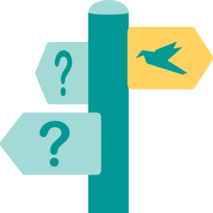 “Unsure about a gap year? I recommend Yipiyap.”