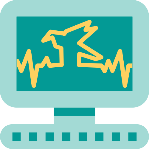 Medical School: How my gap year helped secure me a place